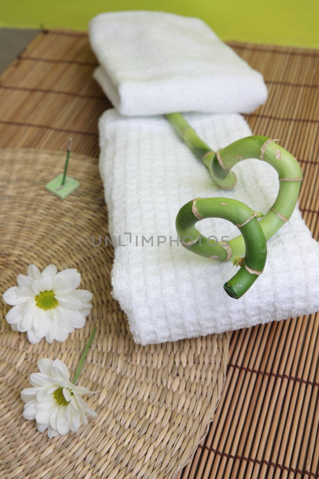 Spa design with bamboo by BDS