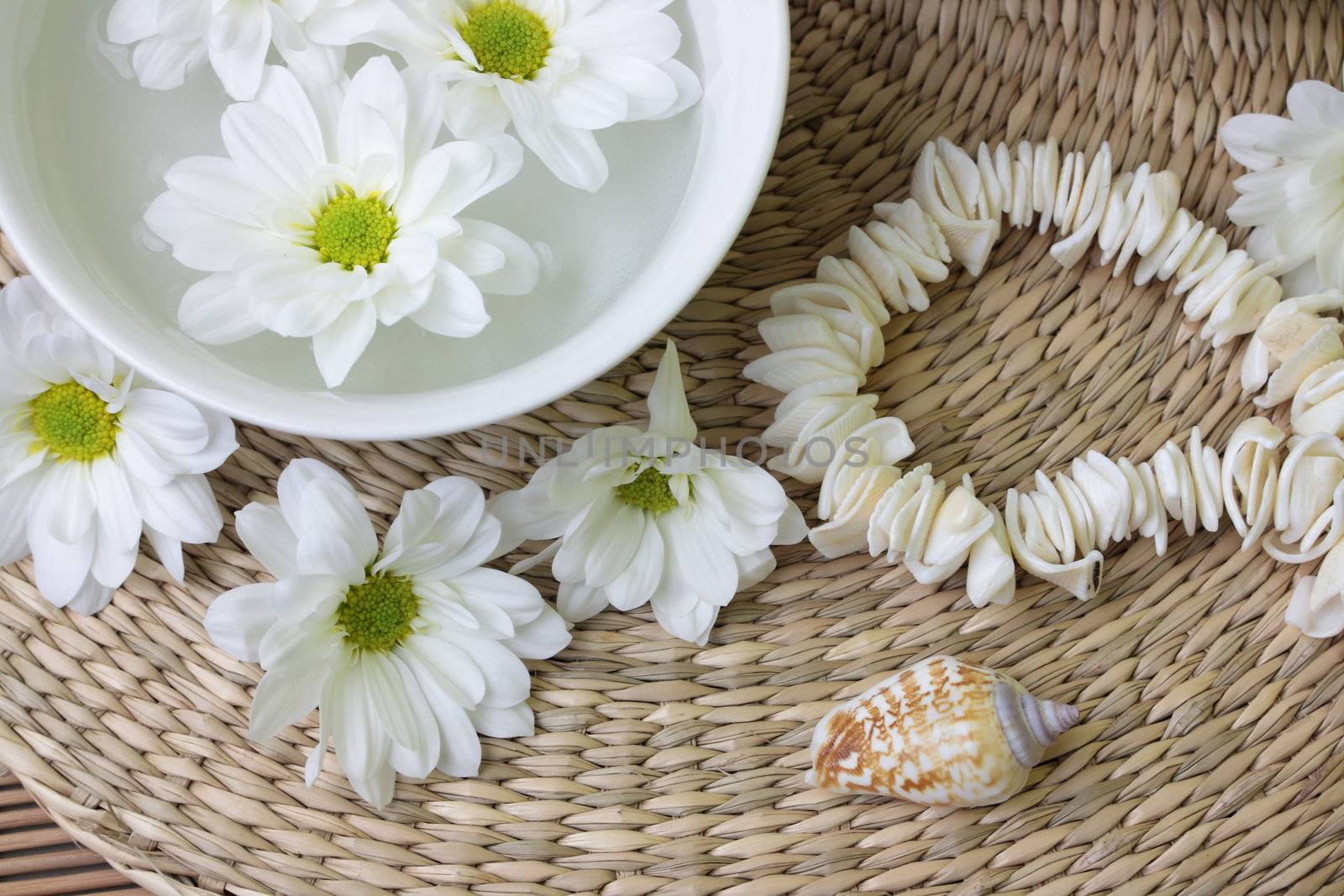 Spa design with herb and daisy