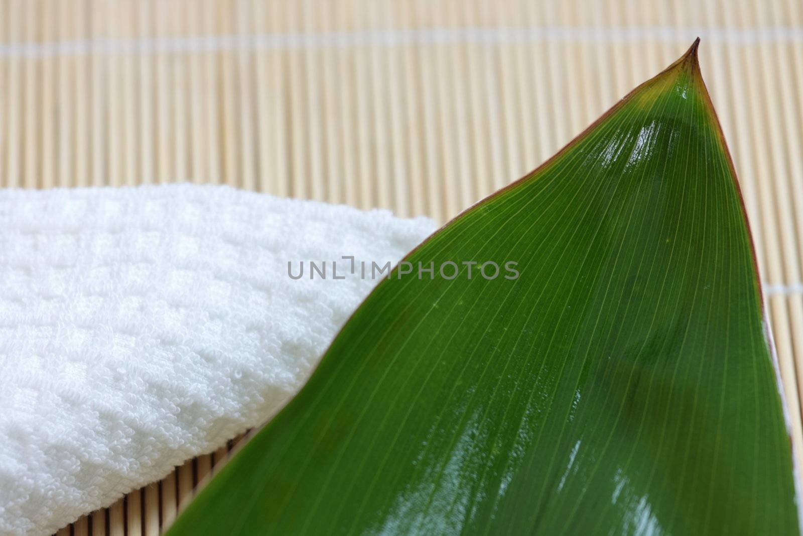 Tropical Spa background (green leaf, white flowers, oil)