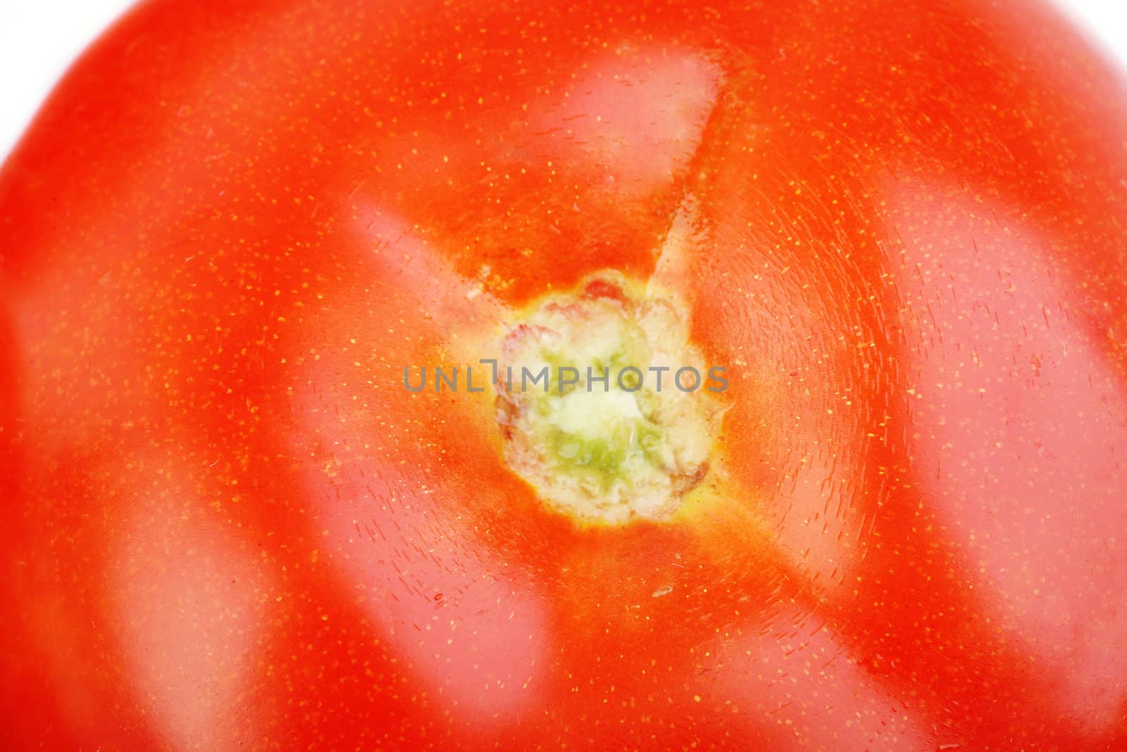 close up of red tomato on white