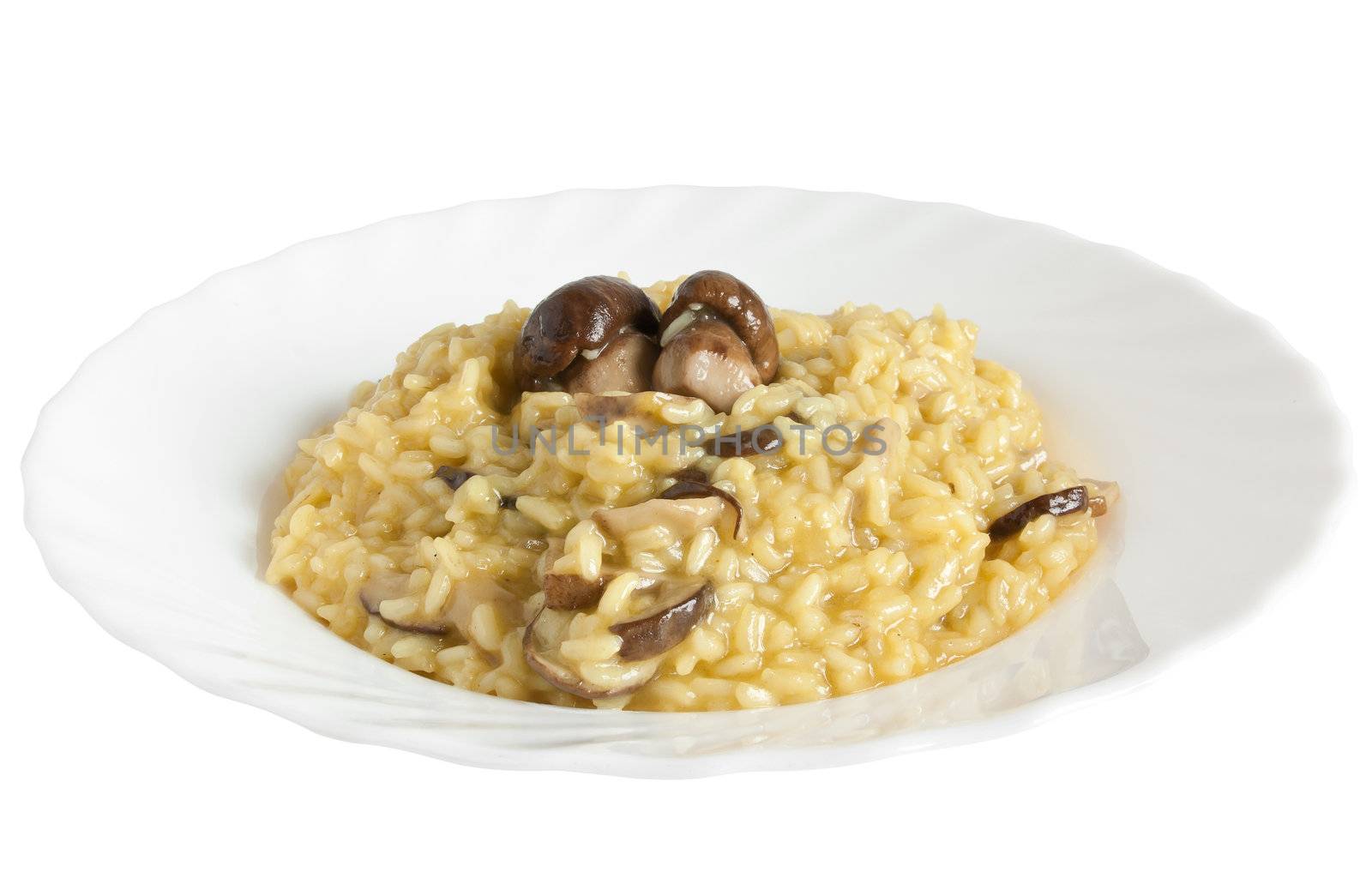 plate of risotto with mushrooms isolated on white background with clipping path