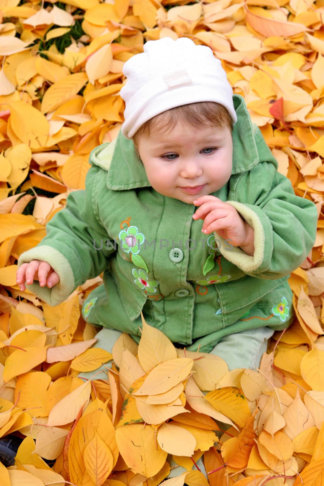 baby at a park in Autumn