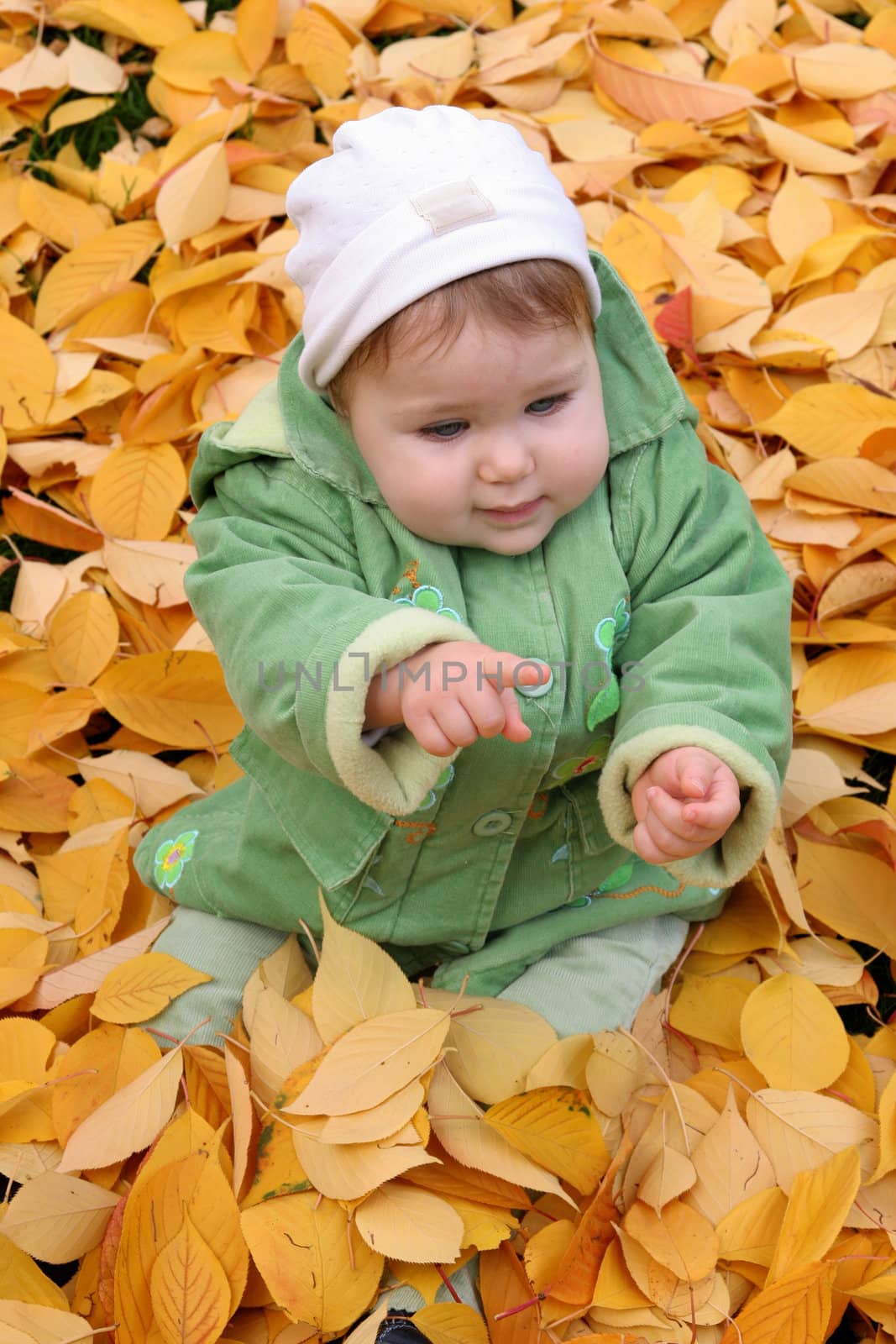baby at a park in Autumn by vladacanon