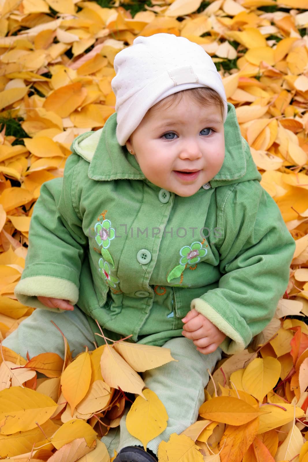 baby at a park in Autumn