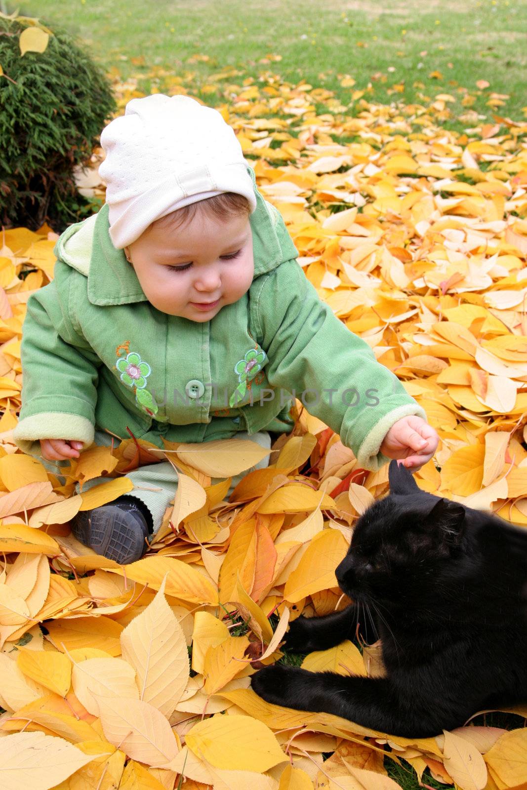 baby and cat at a park in Autumn