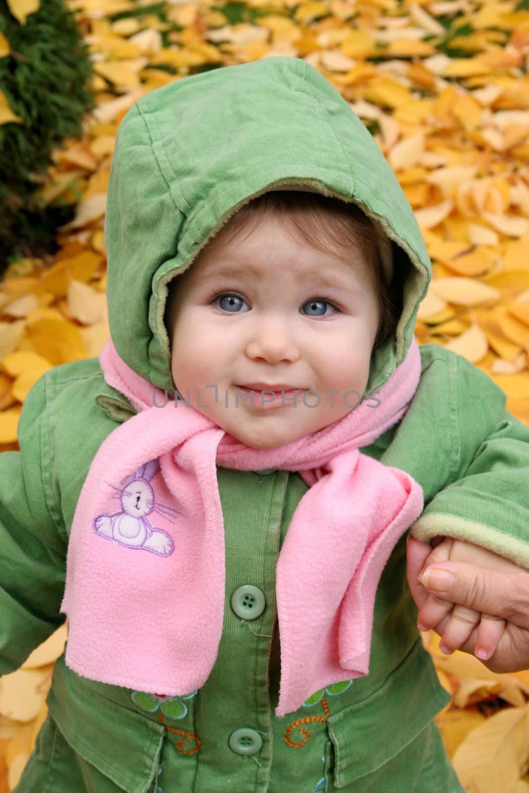 baby at a park in Autumn