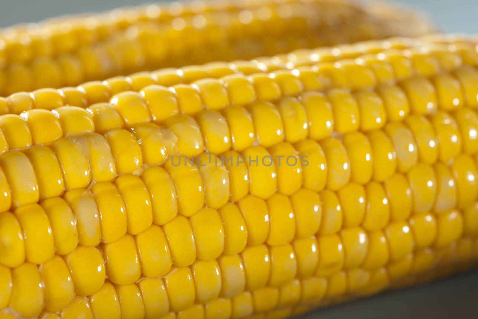 Corn by Fotosmurf