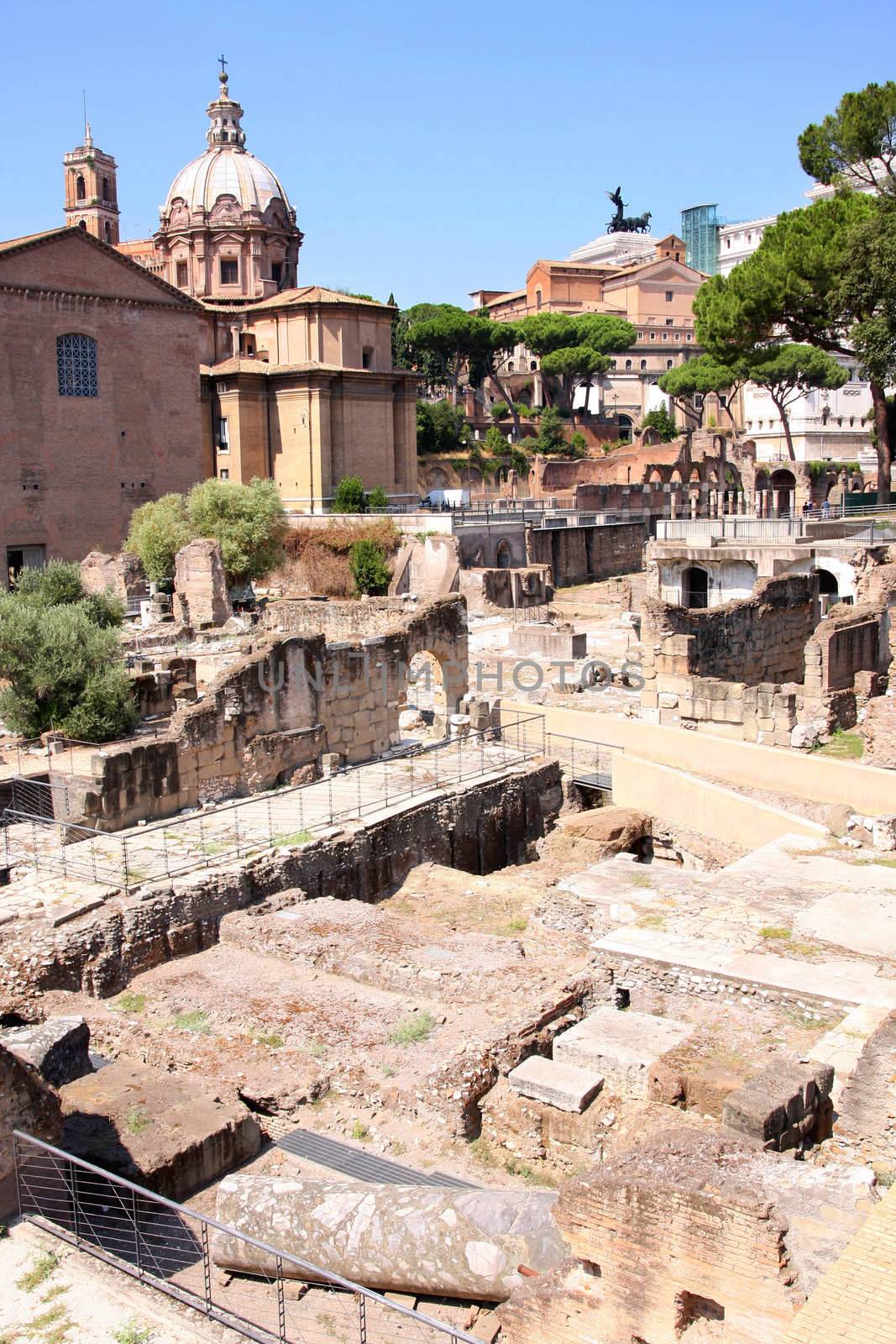 Ruins of the Roman Forum, in Rome, Italy