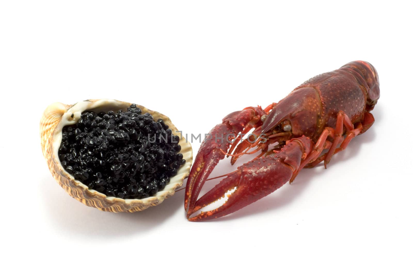 Shot of caviar isolated on white background