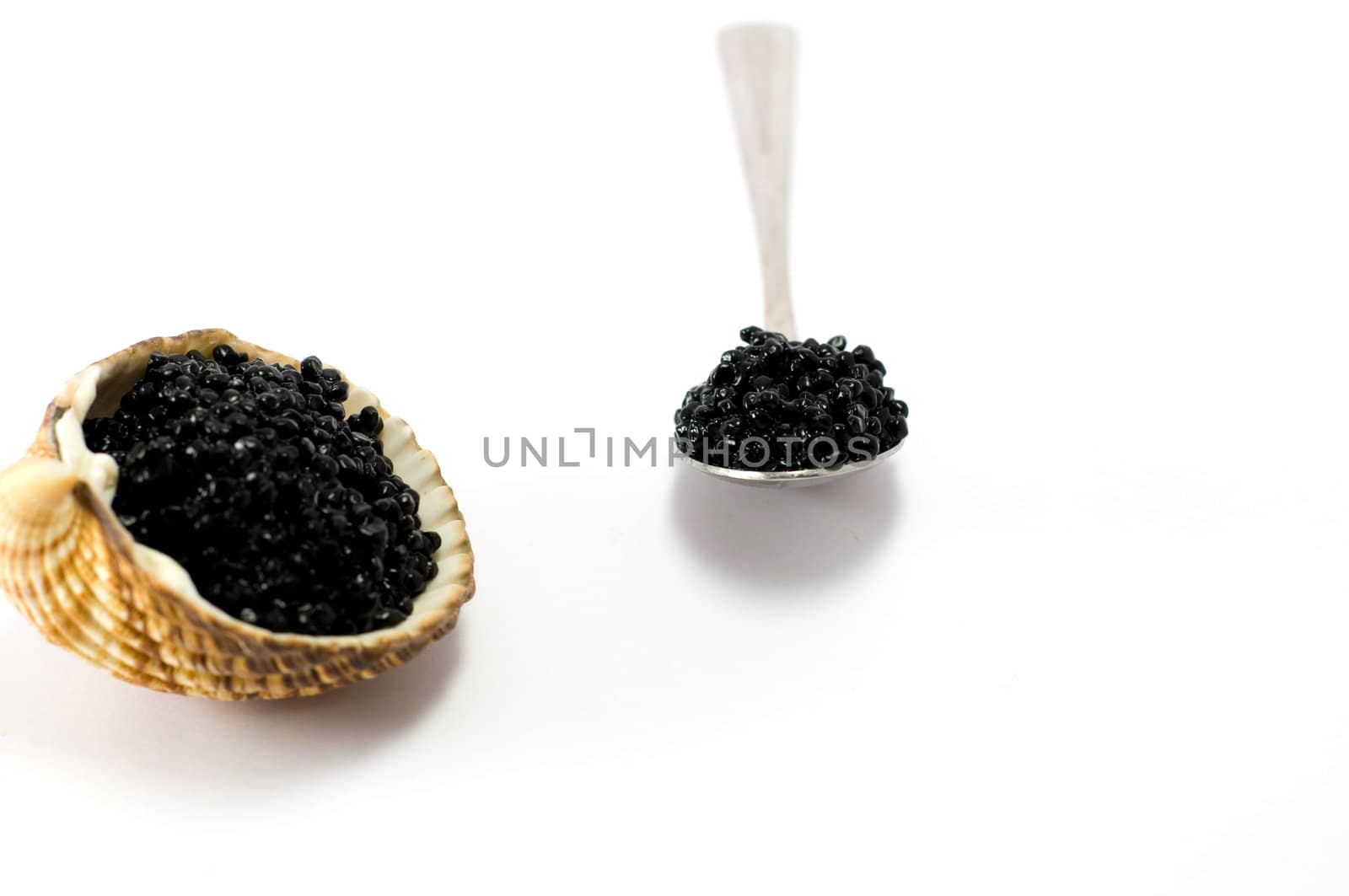 Caviar by anytka