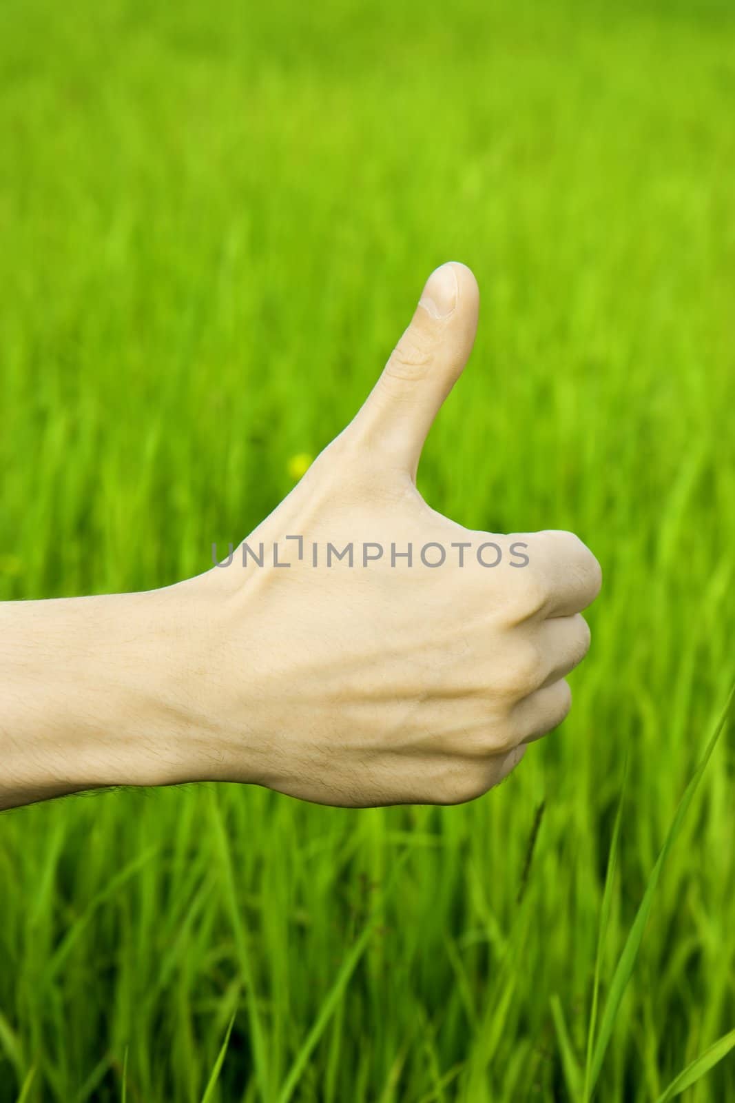 Man's hand clenched in a fist with the thumb lifted upwards