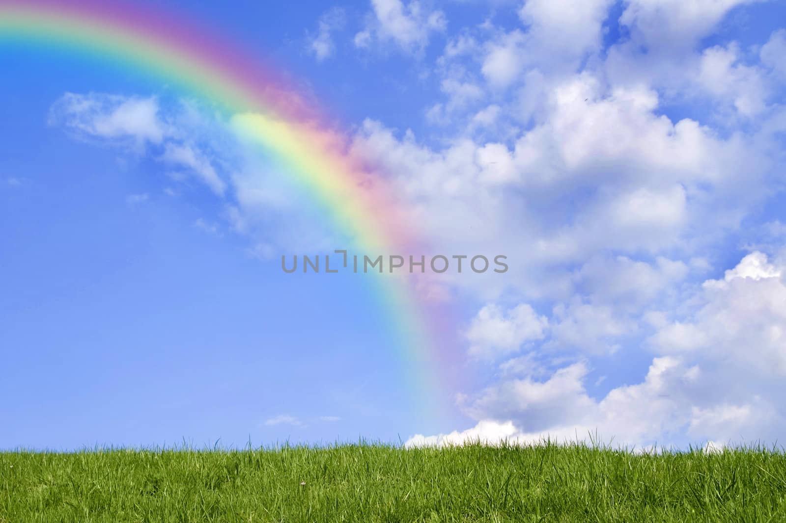 Beautiful green grass against blue sky and rainbow.