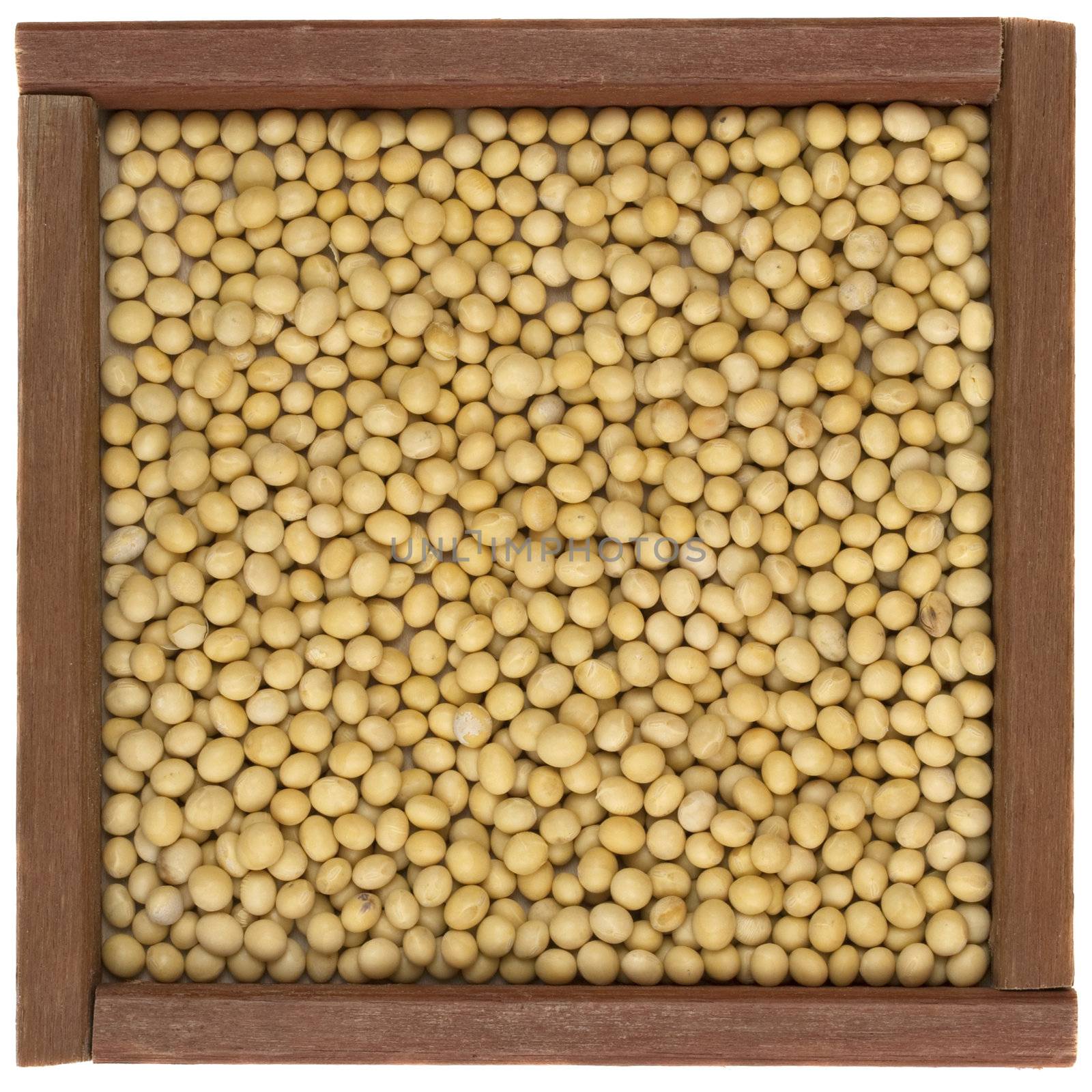 yellow soy beans in a rustic, square, wooden box or frame, isolated on white