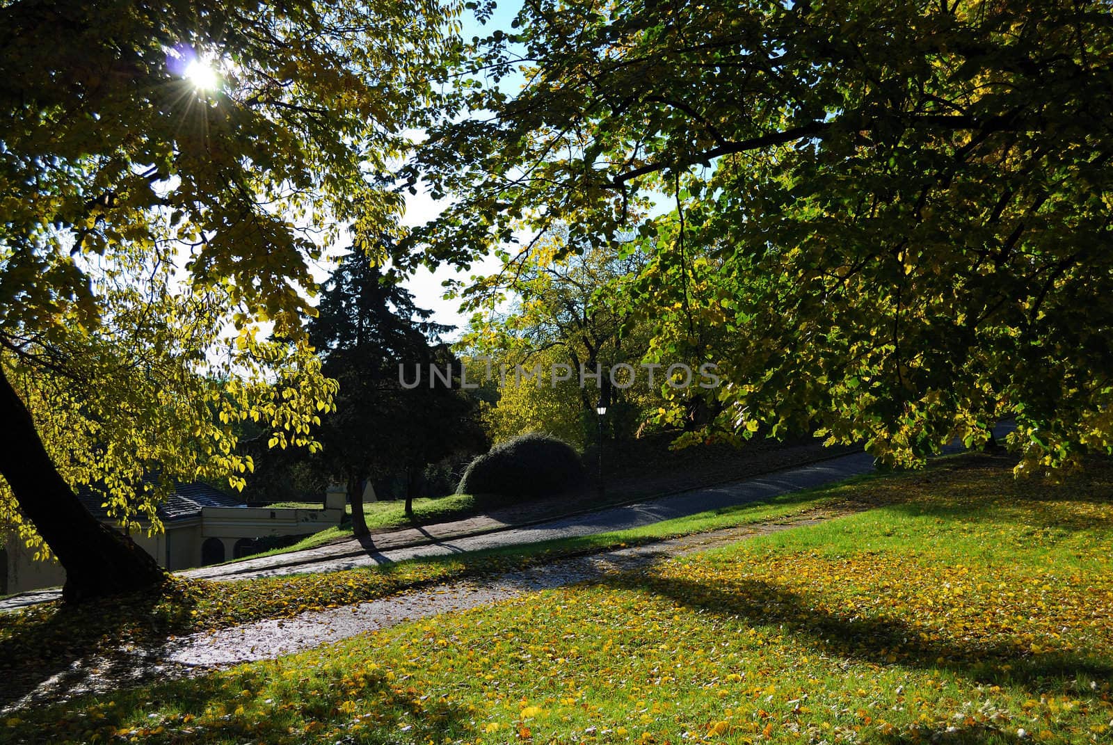 Beautiful autumn colors of the trees in the park. Morning light