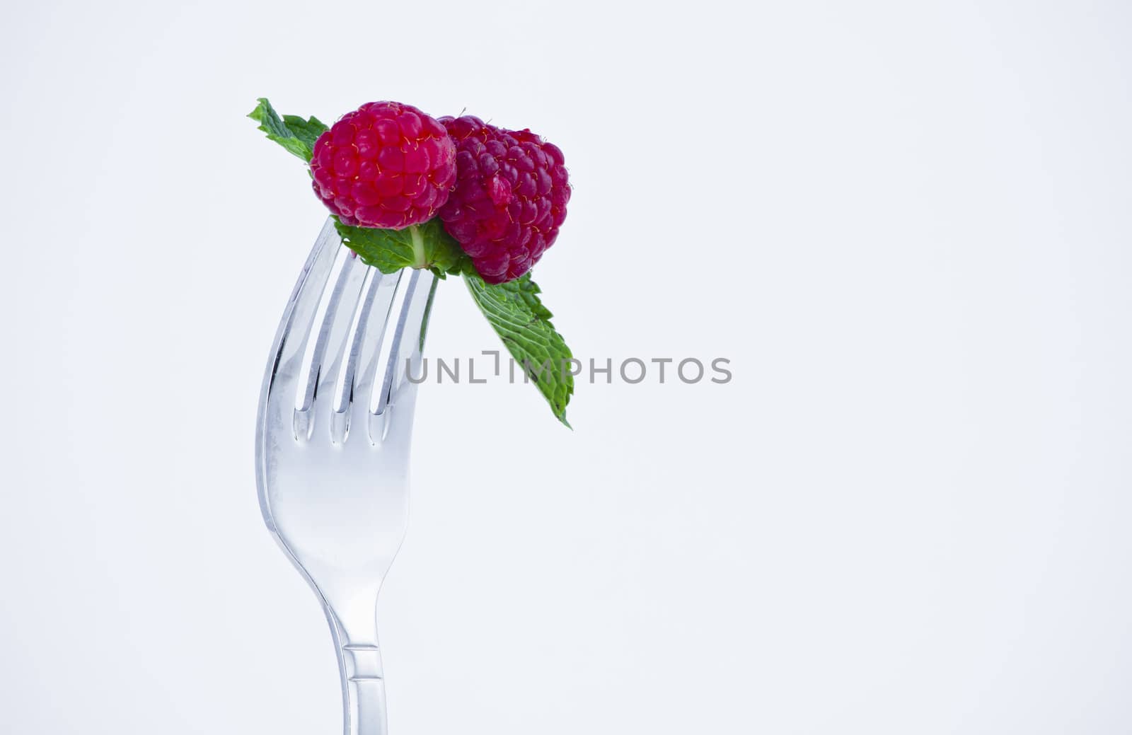 diet, backberries bite in a fork