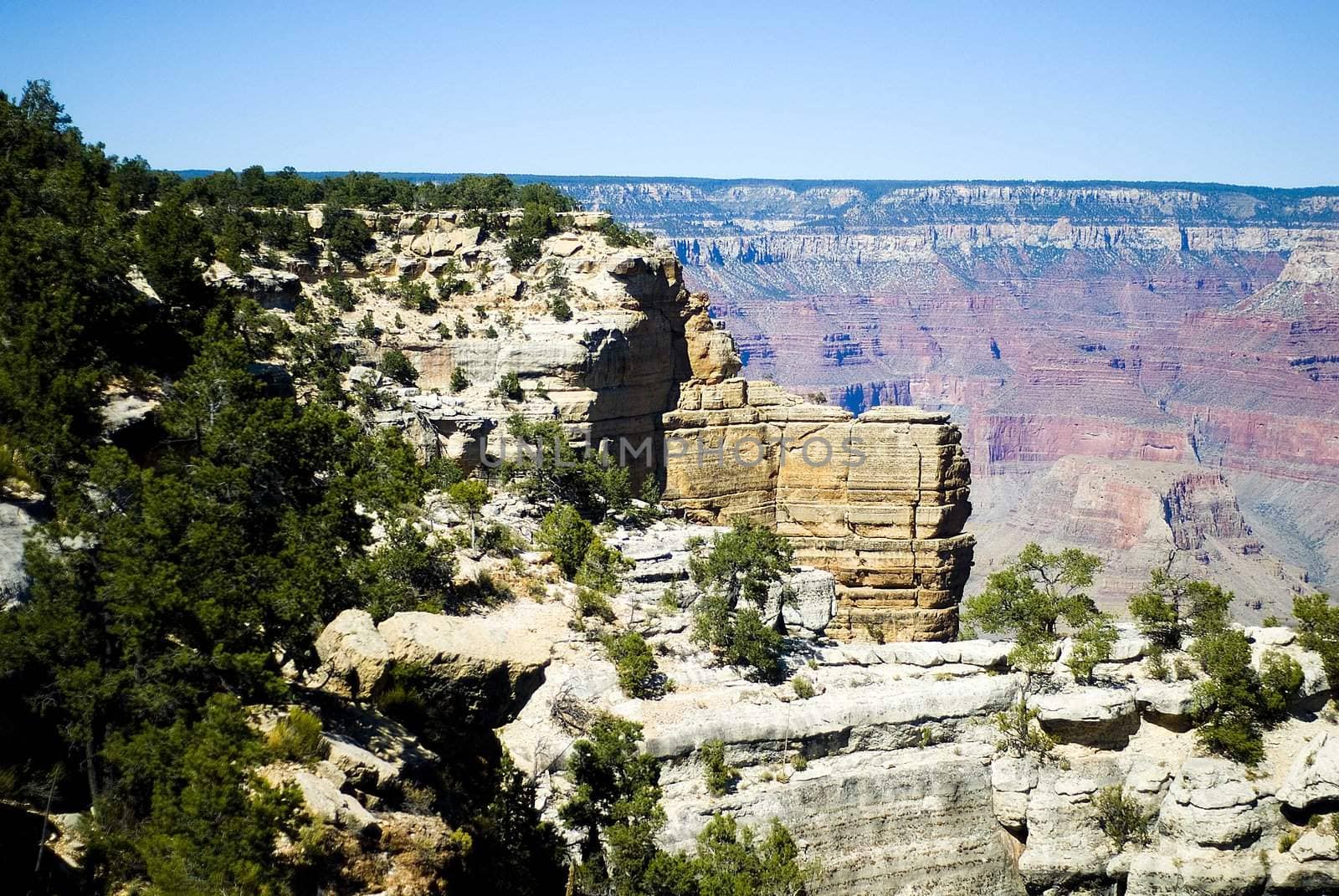 The view of Grand Canyon