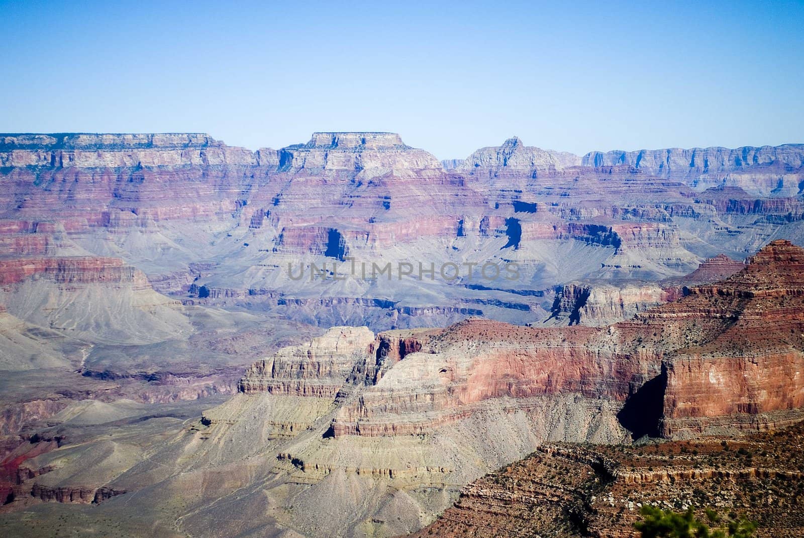 The view of Grand Canyon