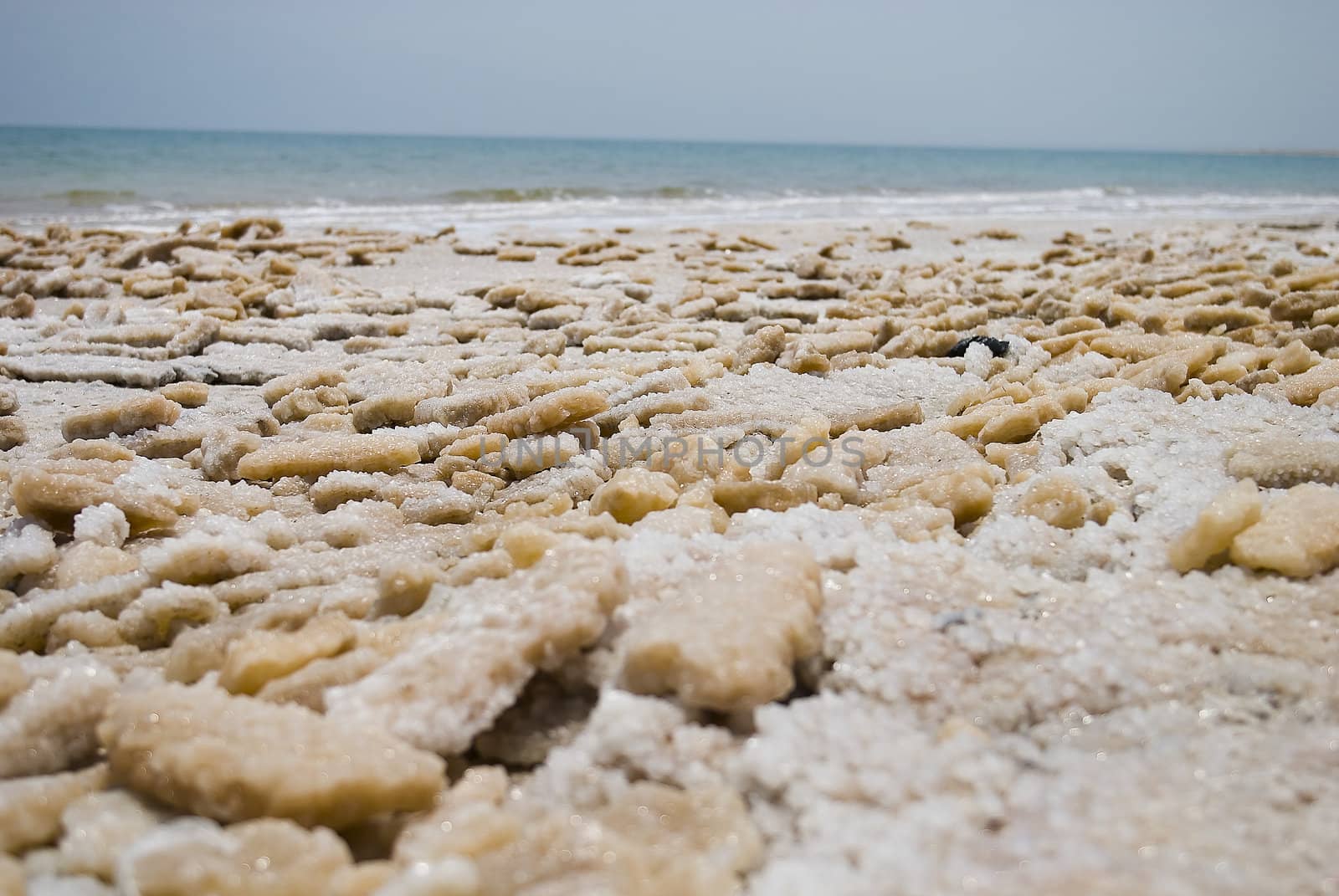 Salted bank of Dead Sea