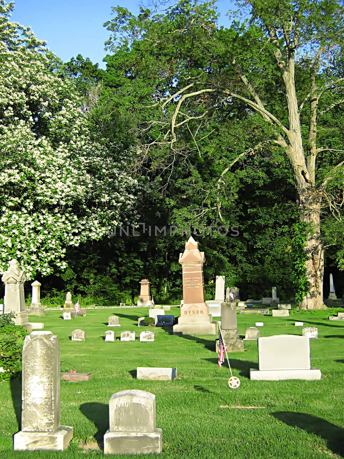 A photograph of a peaceful old cemetery.