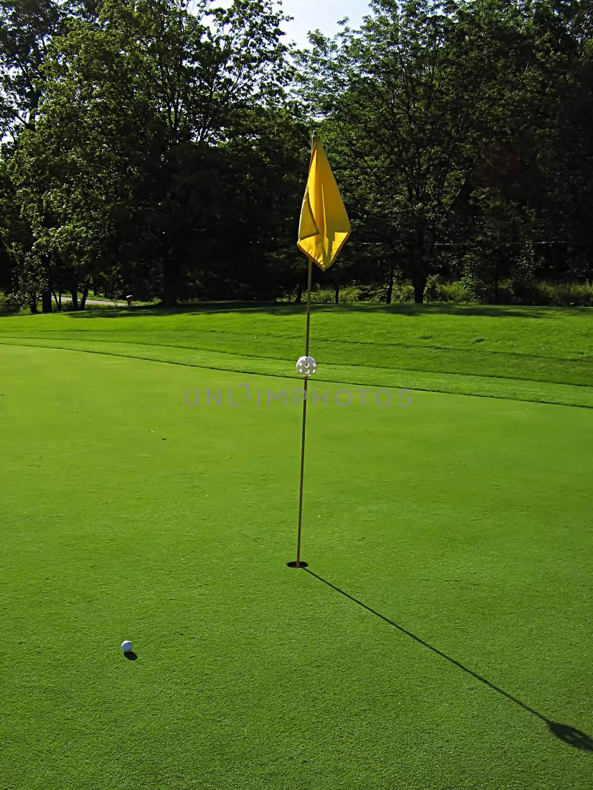 Golf Course by llyr8