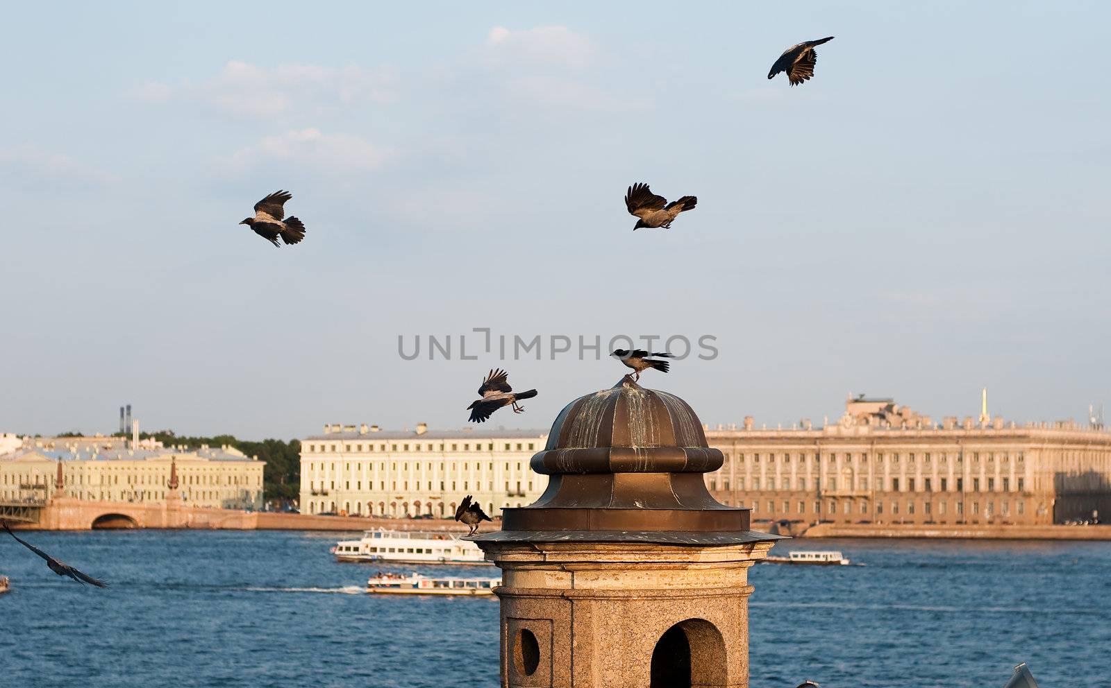 five ravens flaying around the top of the column