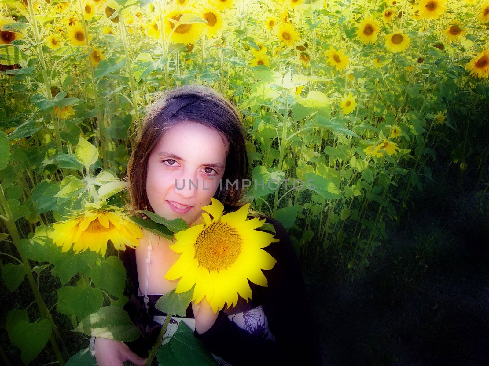 beautiful girl in sunflowers field