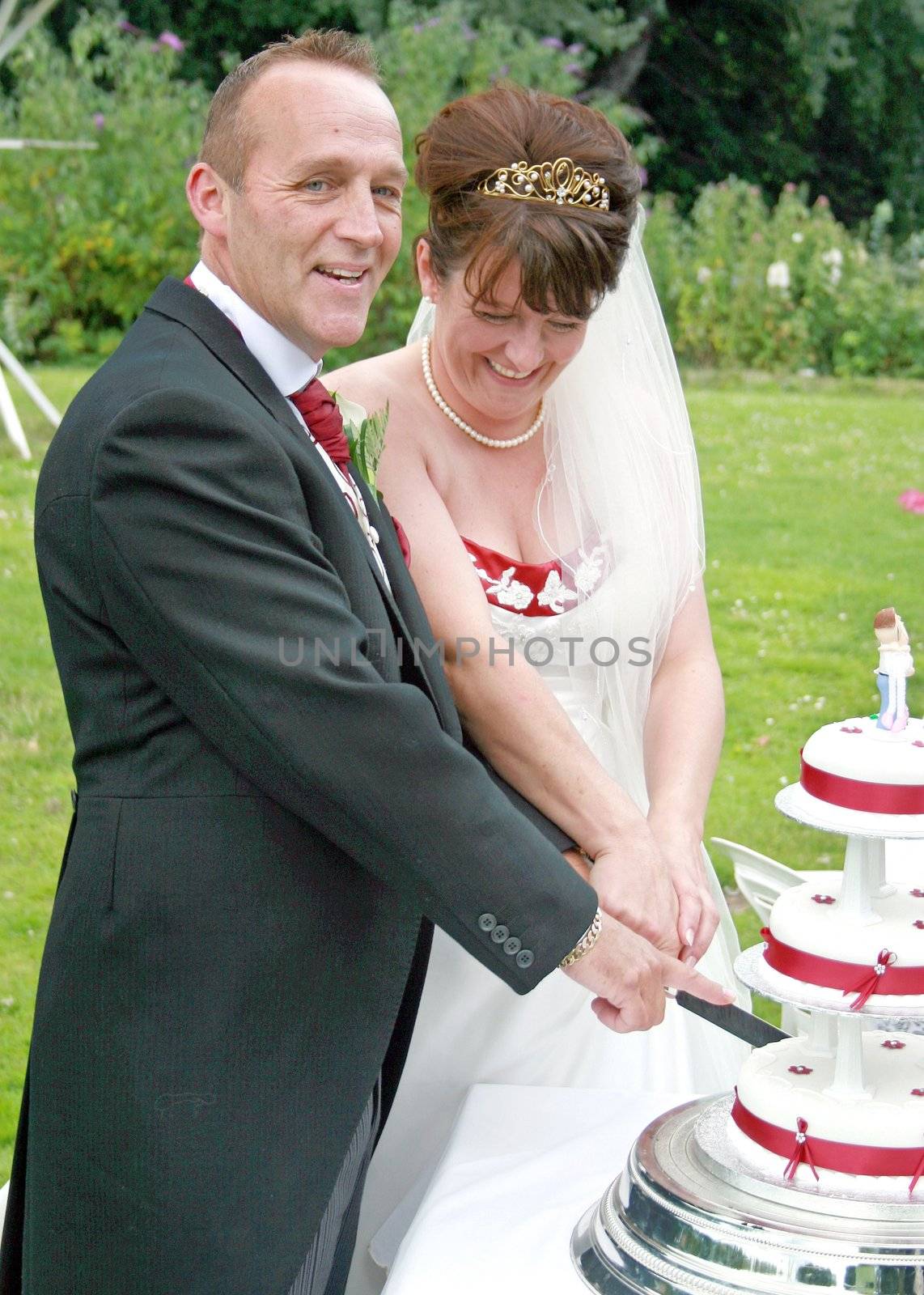 Mature, Happy, Bride and Groom Cutting the Cake at their Wedding Reception.