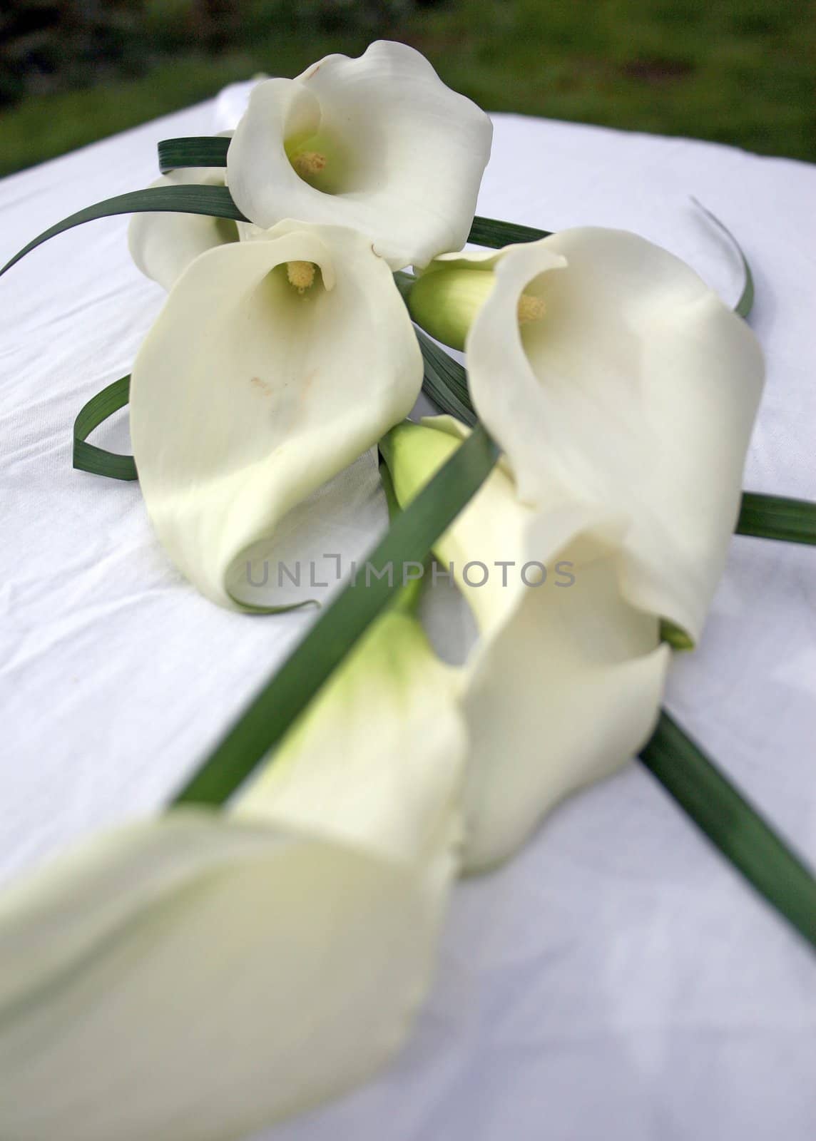 A lily sitting on a table after a wedding.