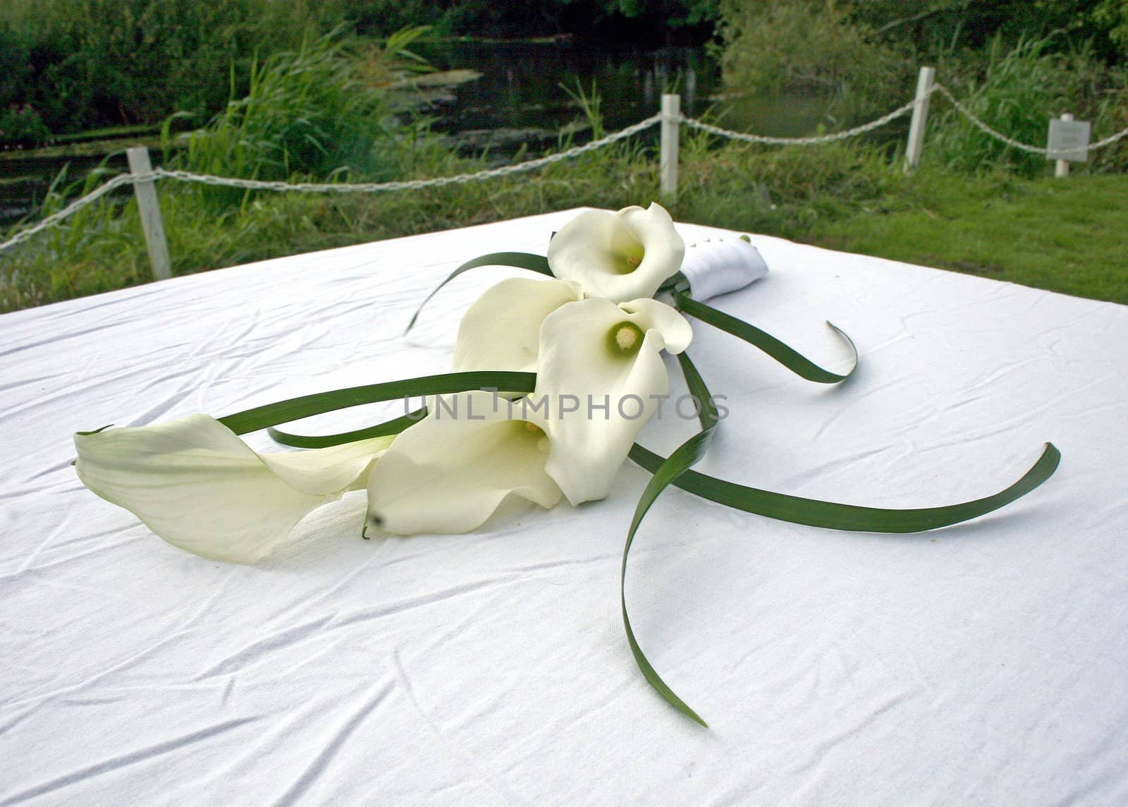 A lily sitting on a table after a wedding.