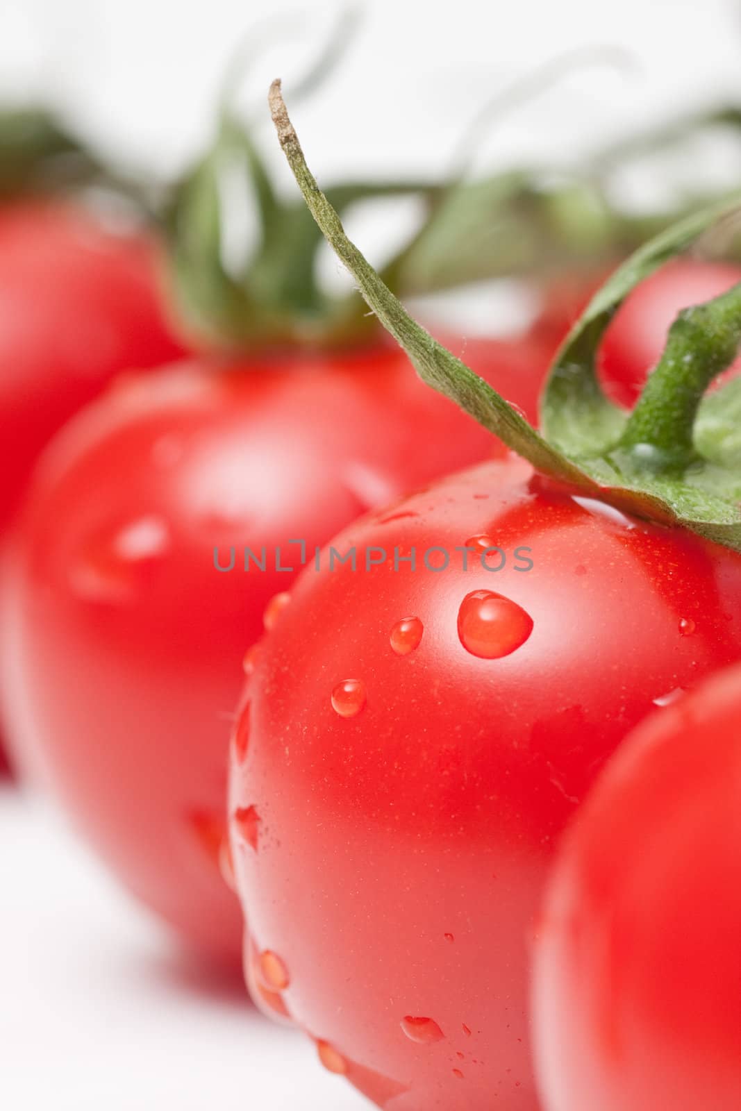 fresh red tomatoes on white background