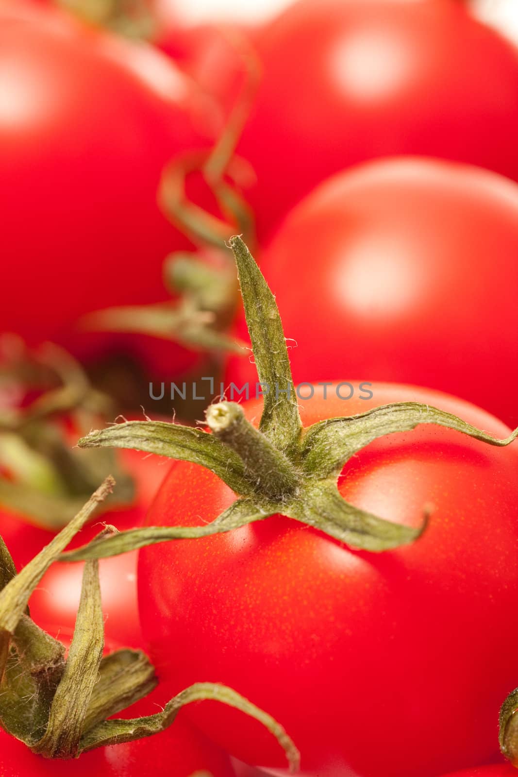fresh red tomatoes background