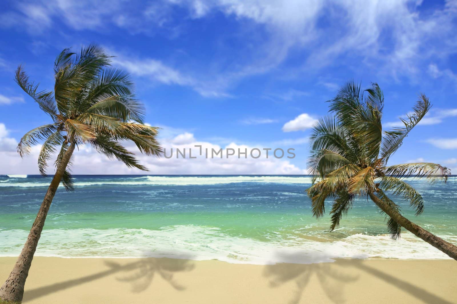 Island Pardise Beach in Hawaii by tobkatrina