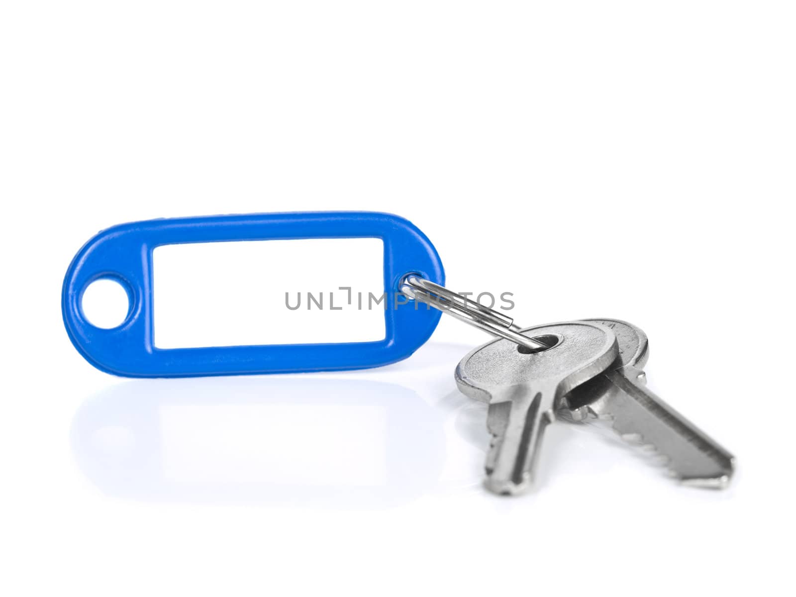 Two keys on a blank keyring with space for text. Isolated on white.