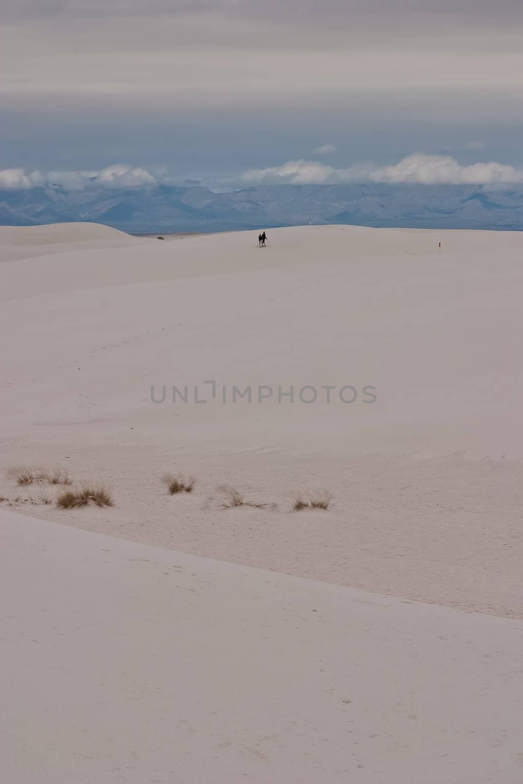 White Sands National Monument is a U.S. National Monument located about 25 km (15 miles) southwest of Alamogordo in western Otero County and northeastern Dona Ana County in the state of New Mexico