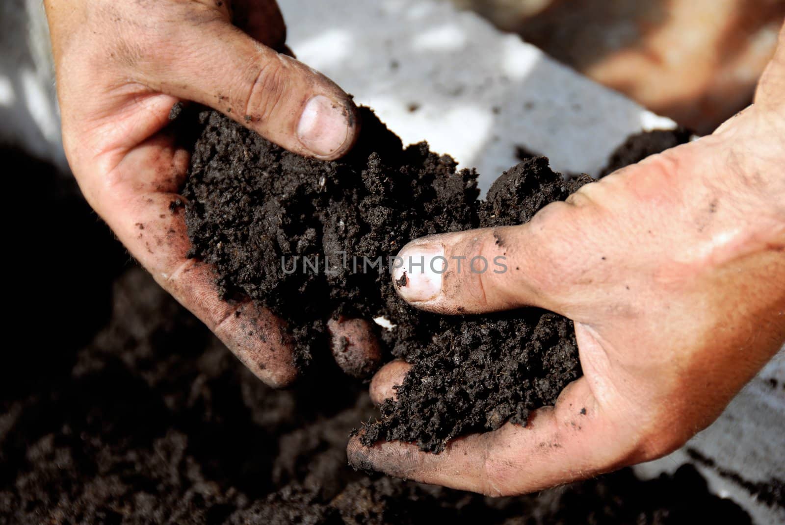 black soil in man hand closeup outdoor