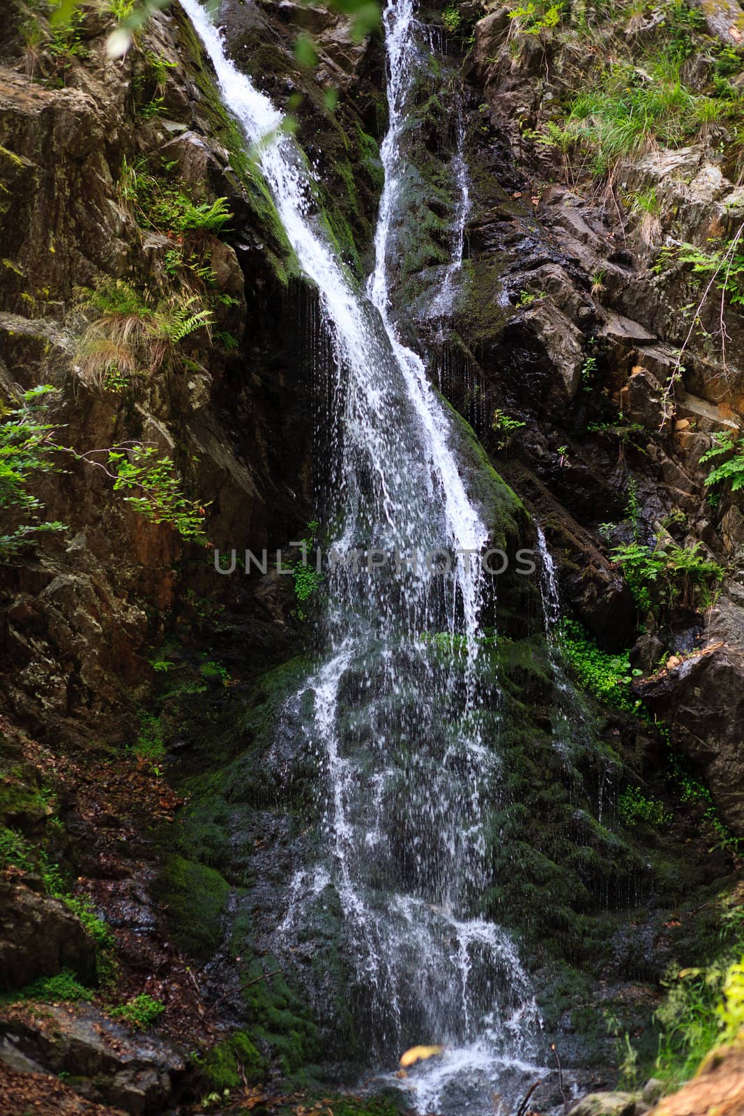 cascade in black forest by anobis