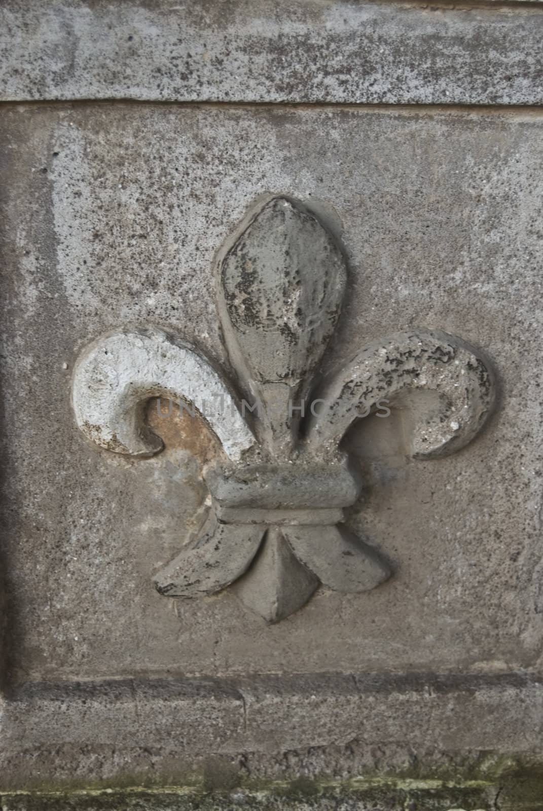 ornament of the famous fleur de lis on grey stone background