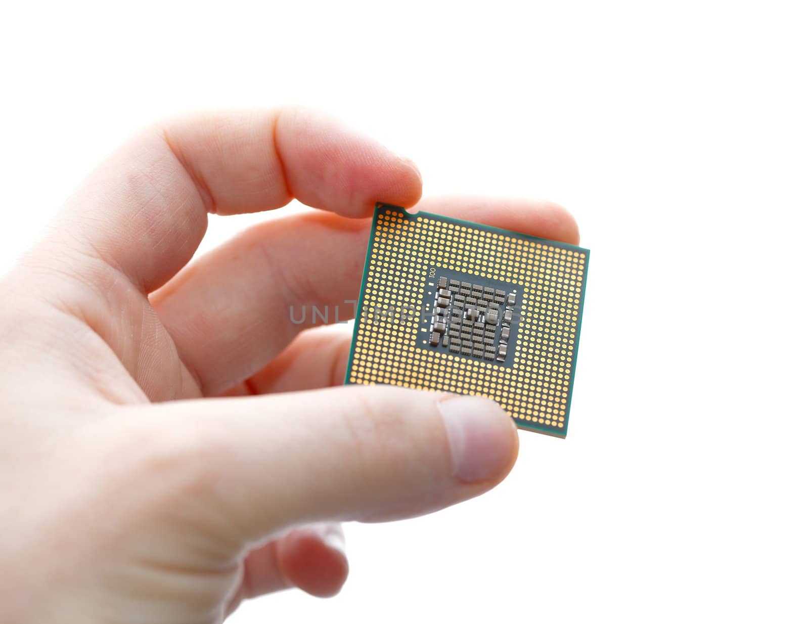 Computer CPU in a human hand