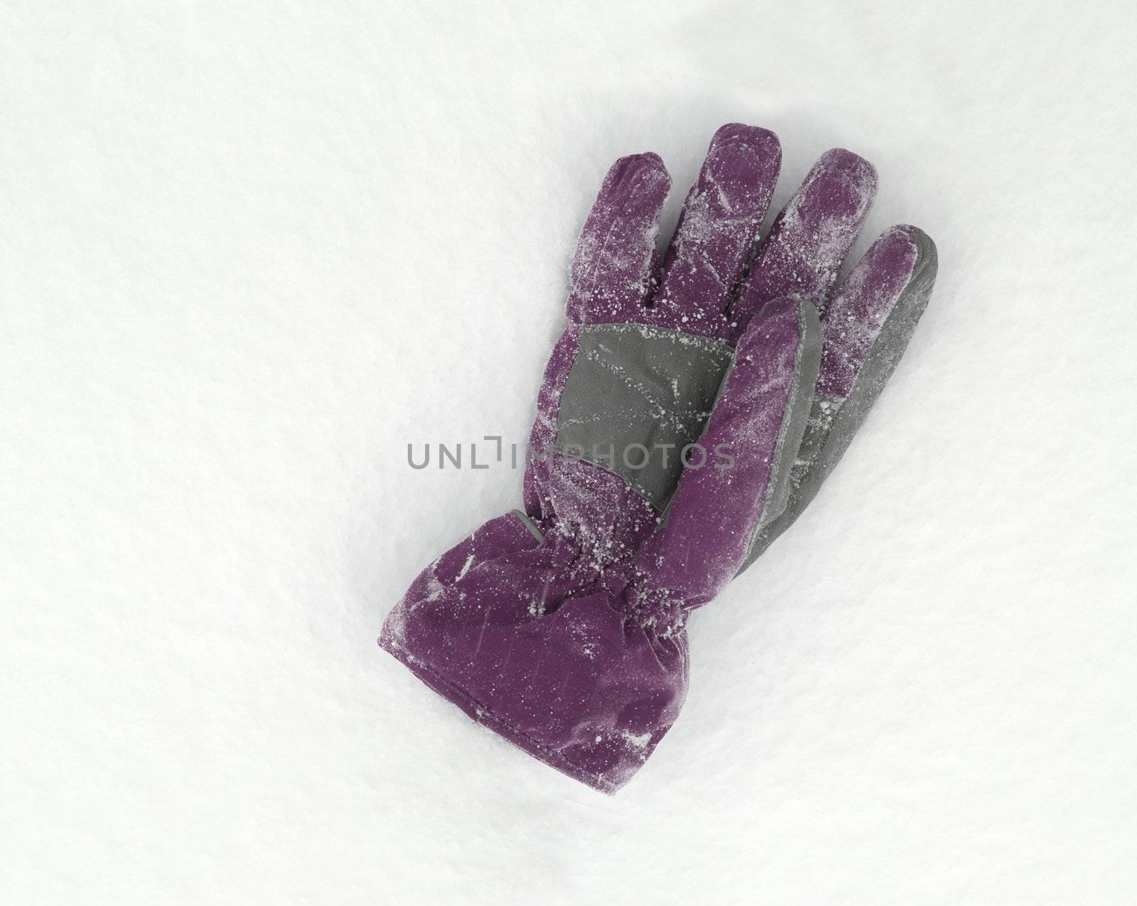 Gloves lying on the fresh snow