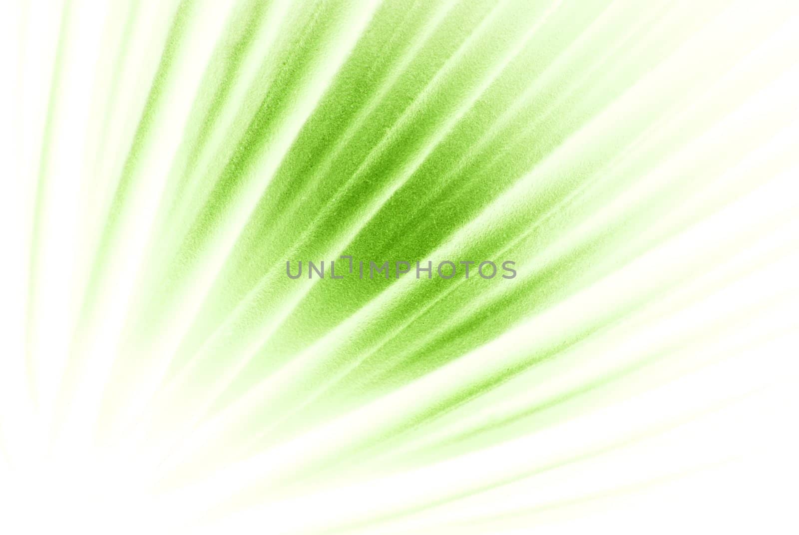 Bright green background decoration