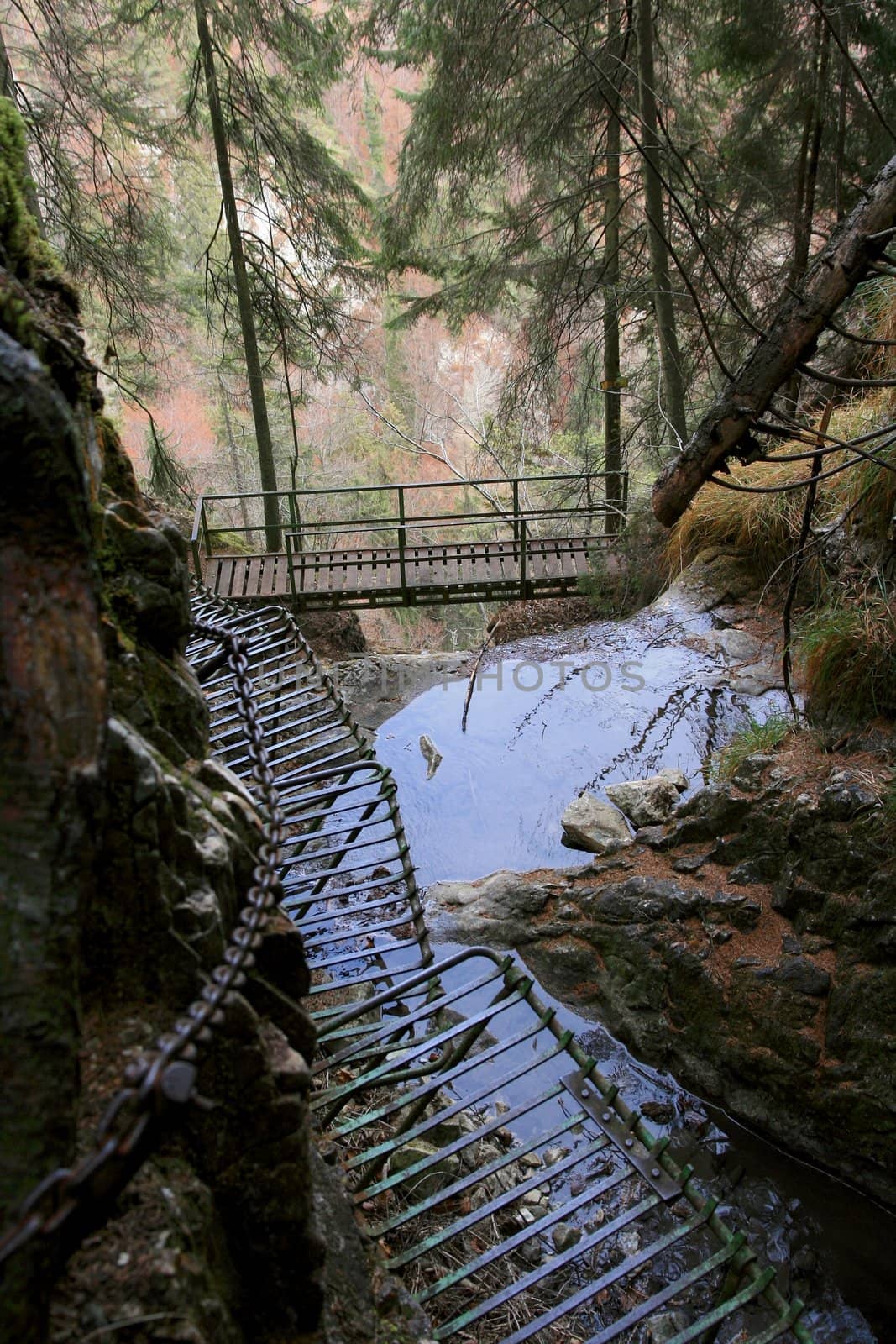 Treking path in a valley in Slovakia