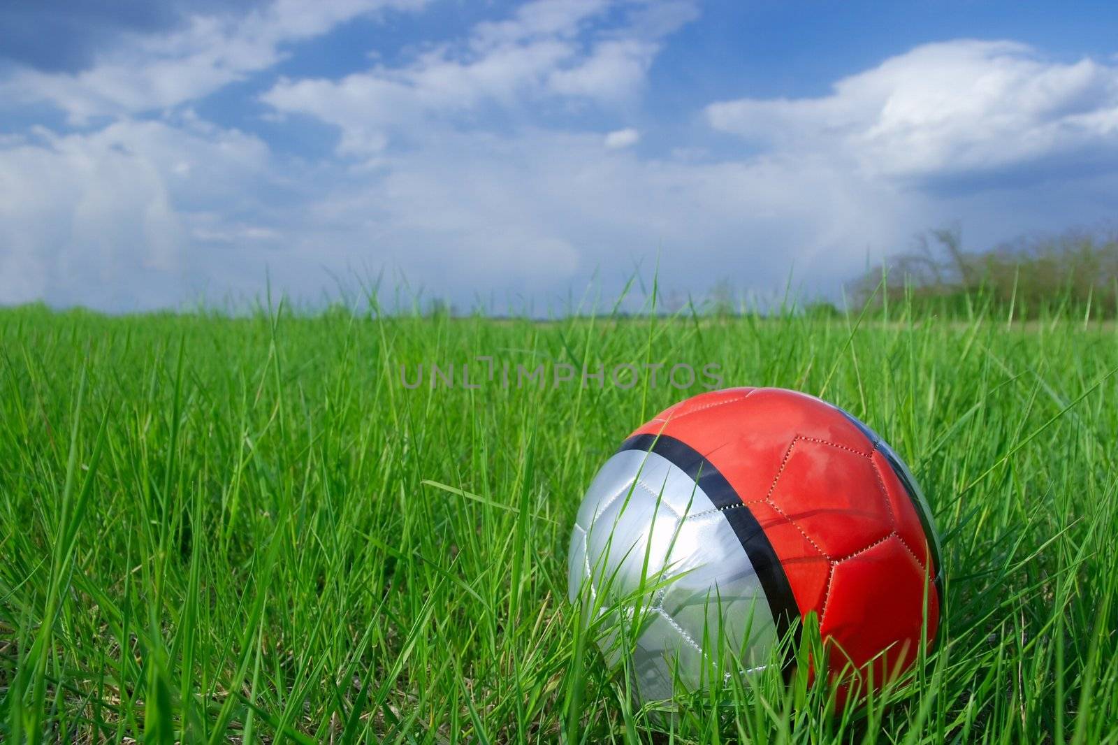 Soccer ball in green grass