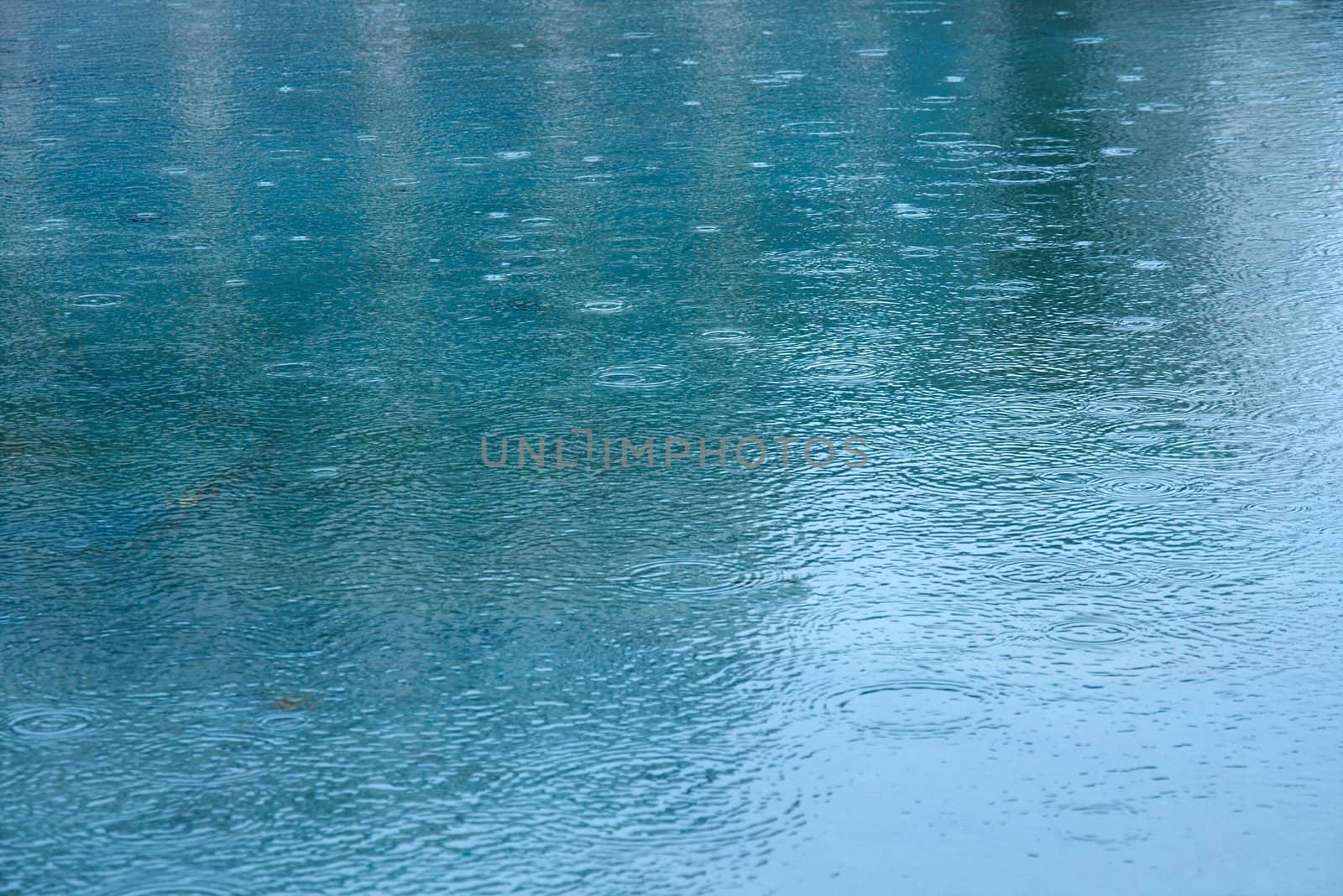 Water surface it by raindrops