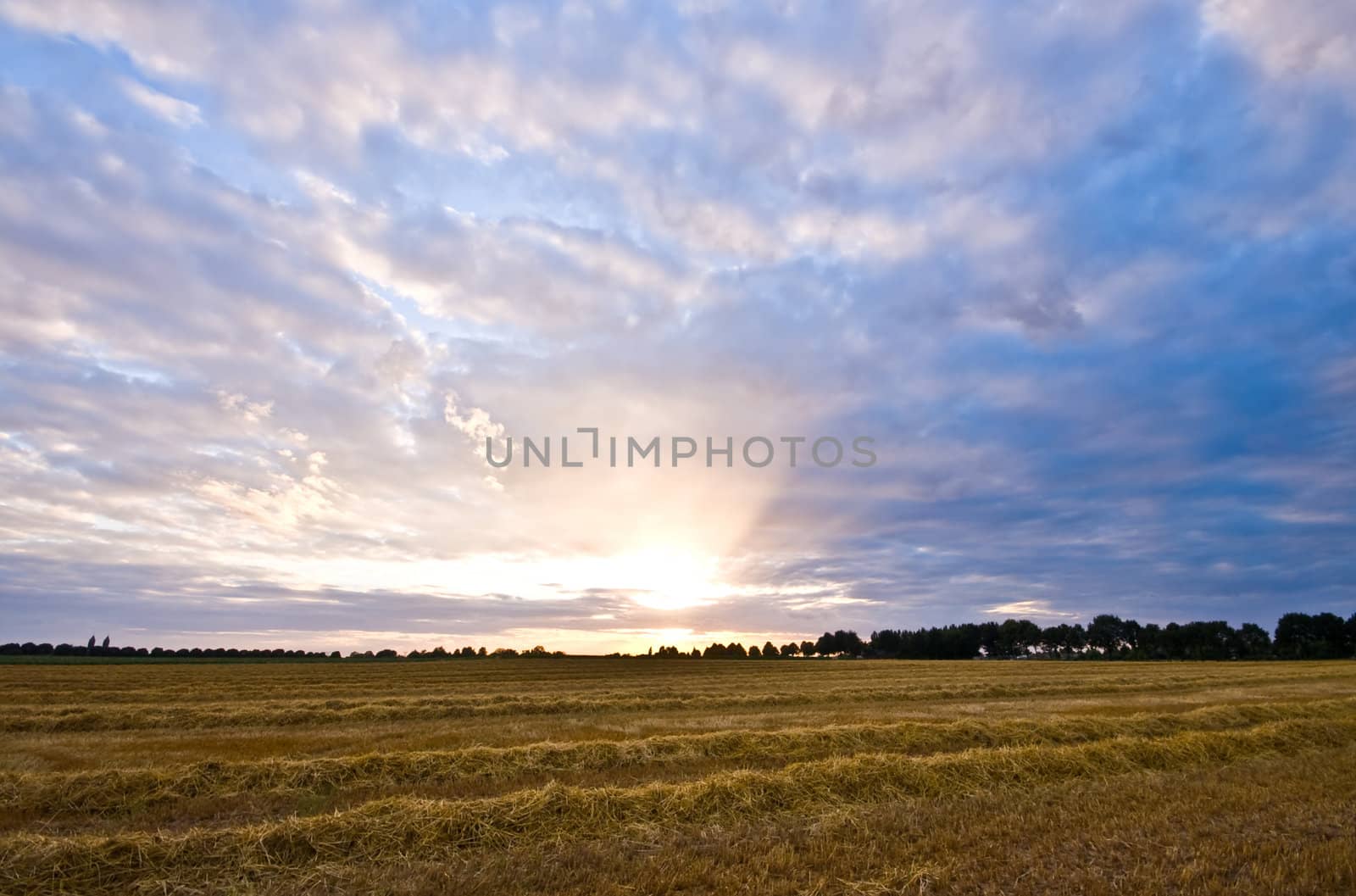 fresh mowed farmland with a nice pastel sunset
