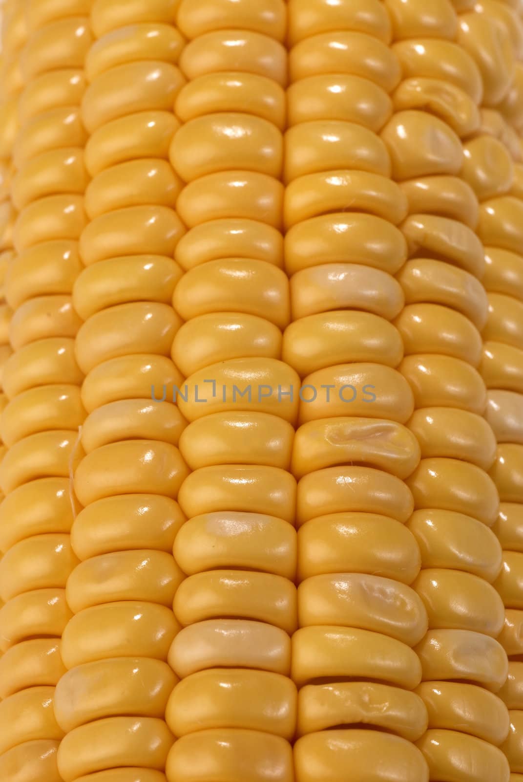 Closeup take of fresh corn on the cob