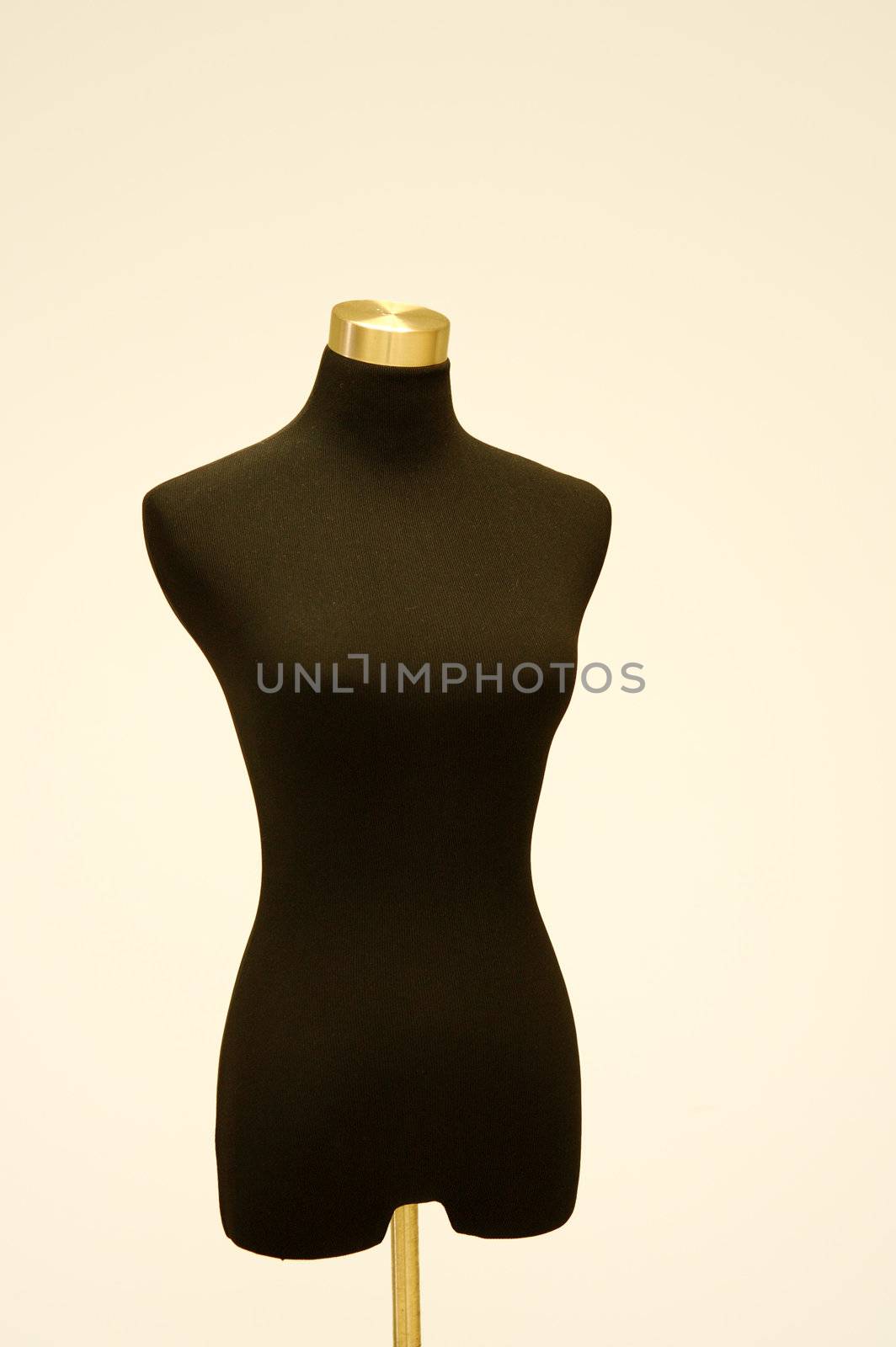 The detail of tailor or dressmaker dummy