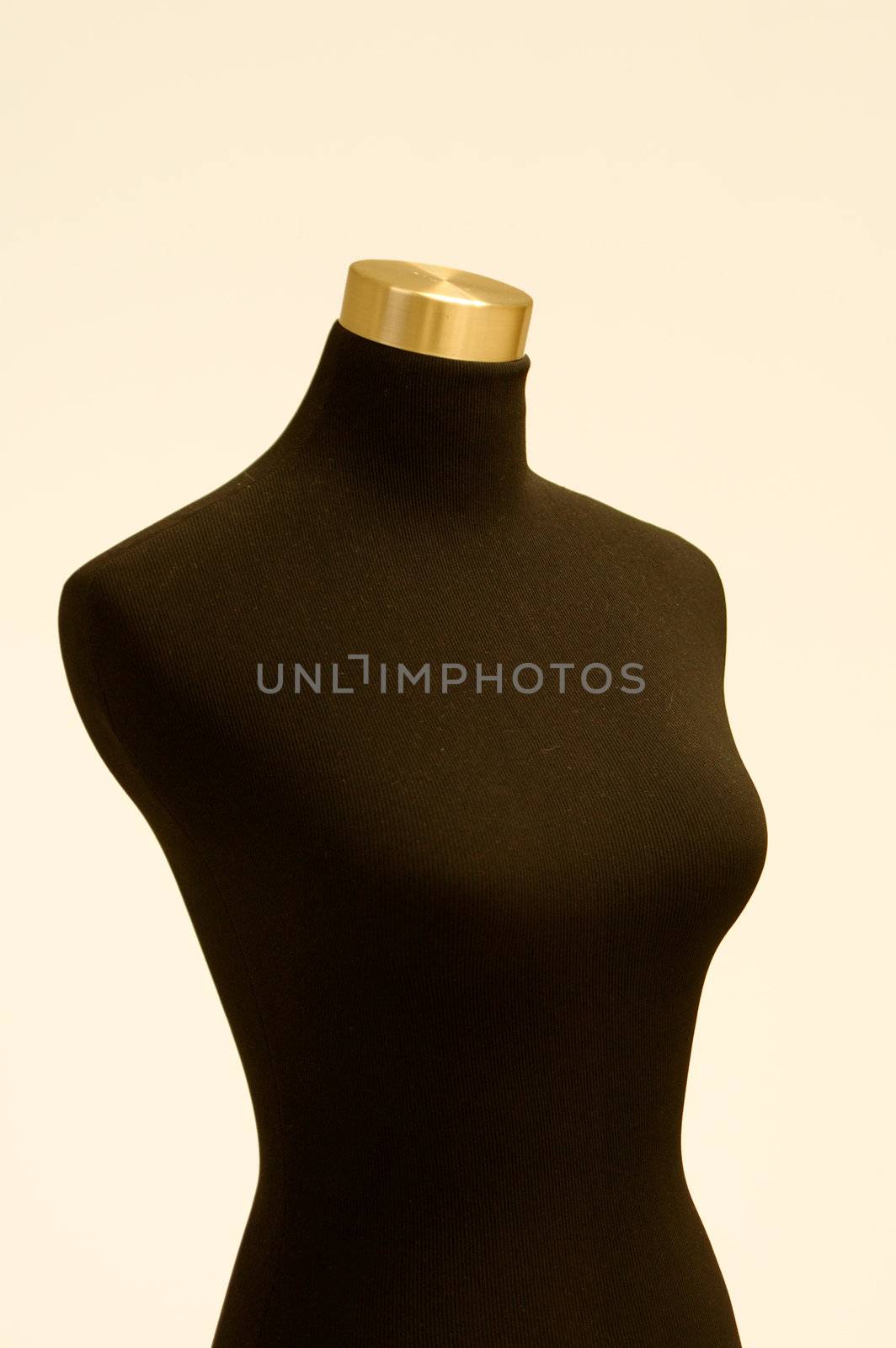 The detail of tailor or dressmaker dummy