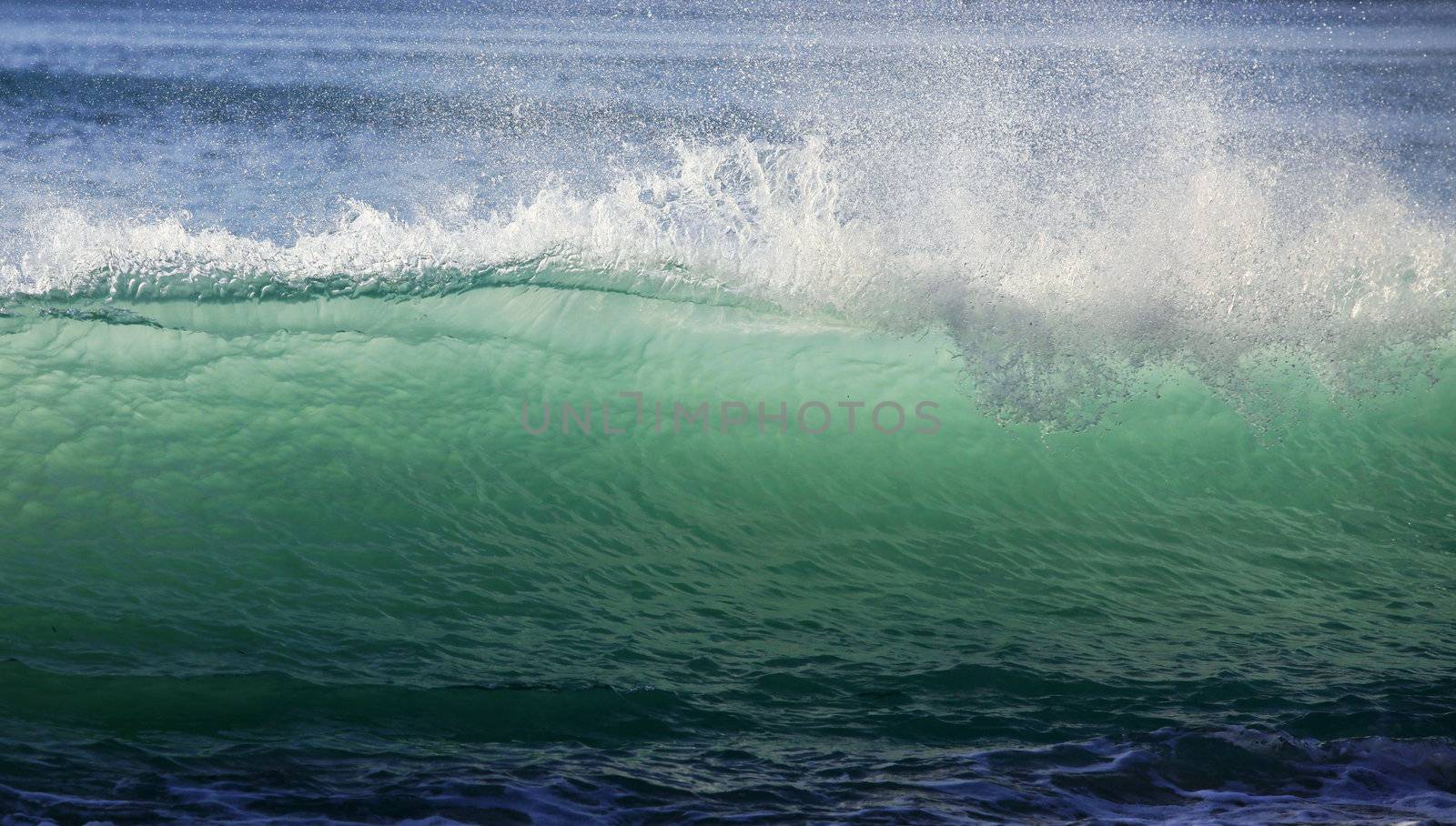 Big wave crashes on to the shore. Indian ocean