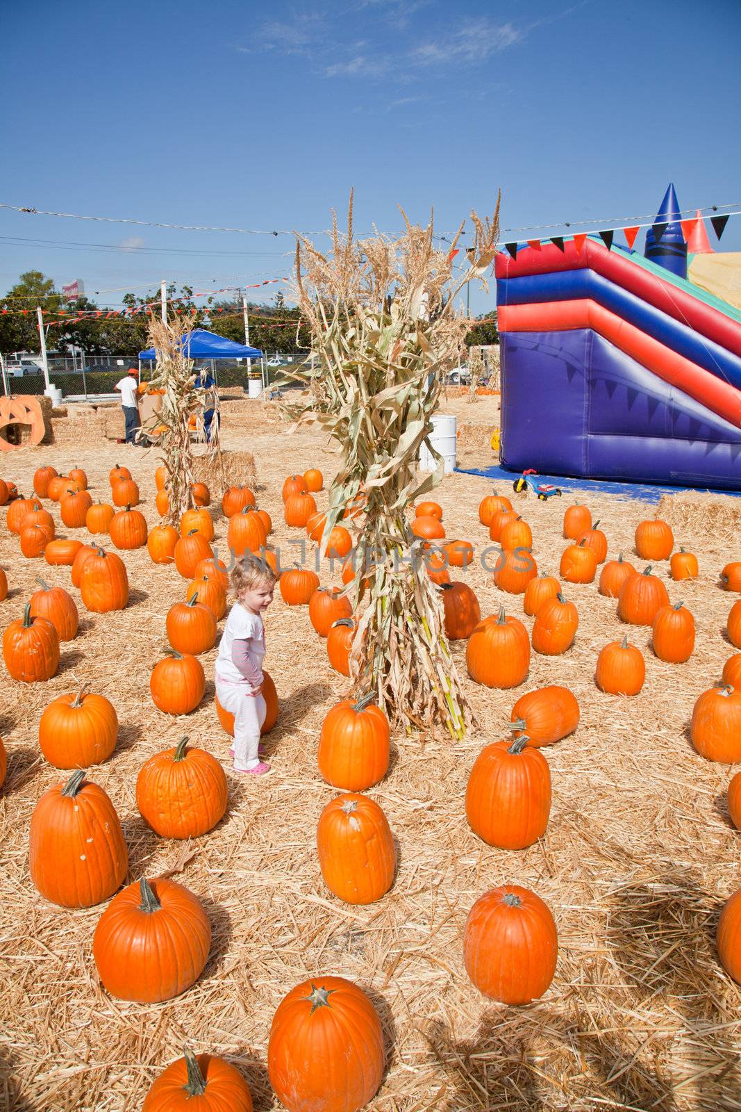 Cute little European toddler girl having fun on pumpkin patch.