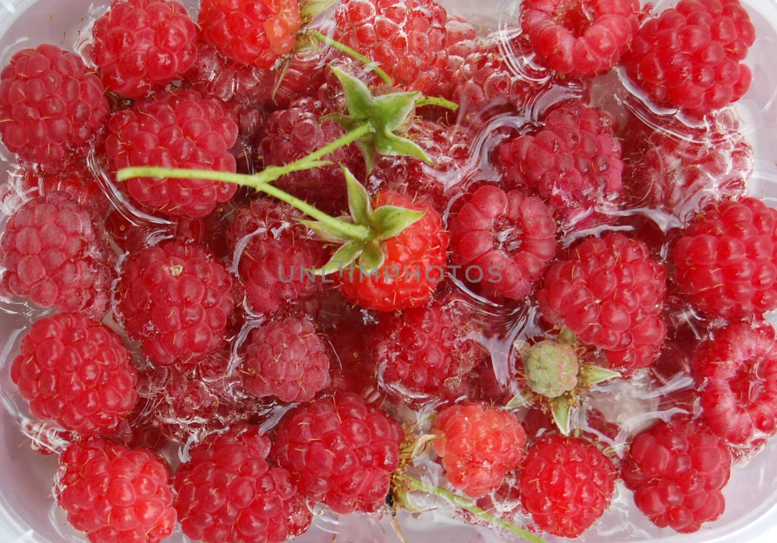raspberry